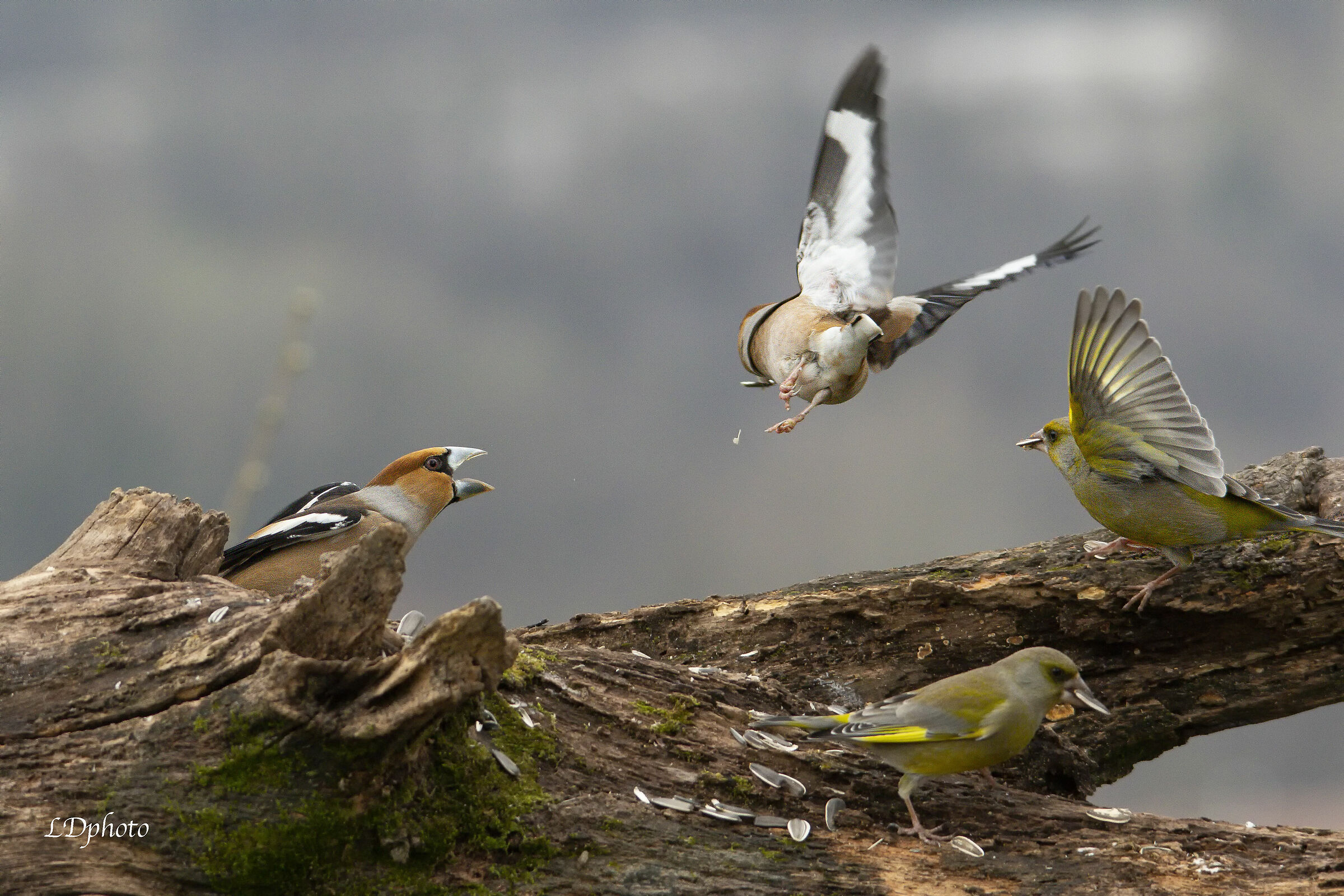 E mettiti le mutande!