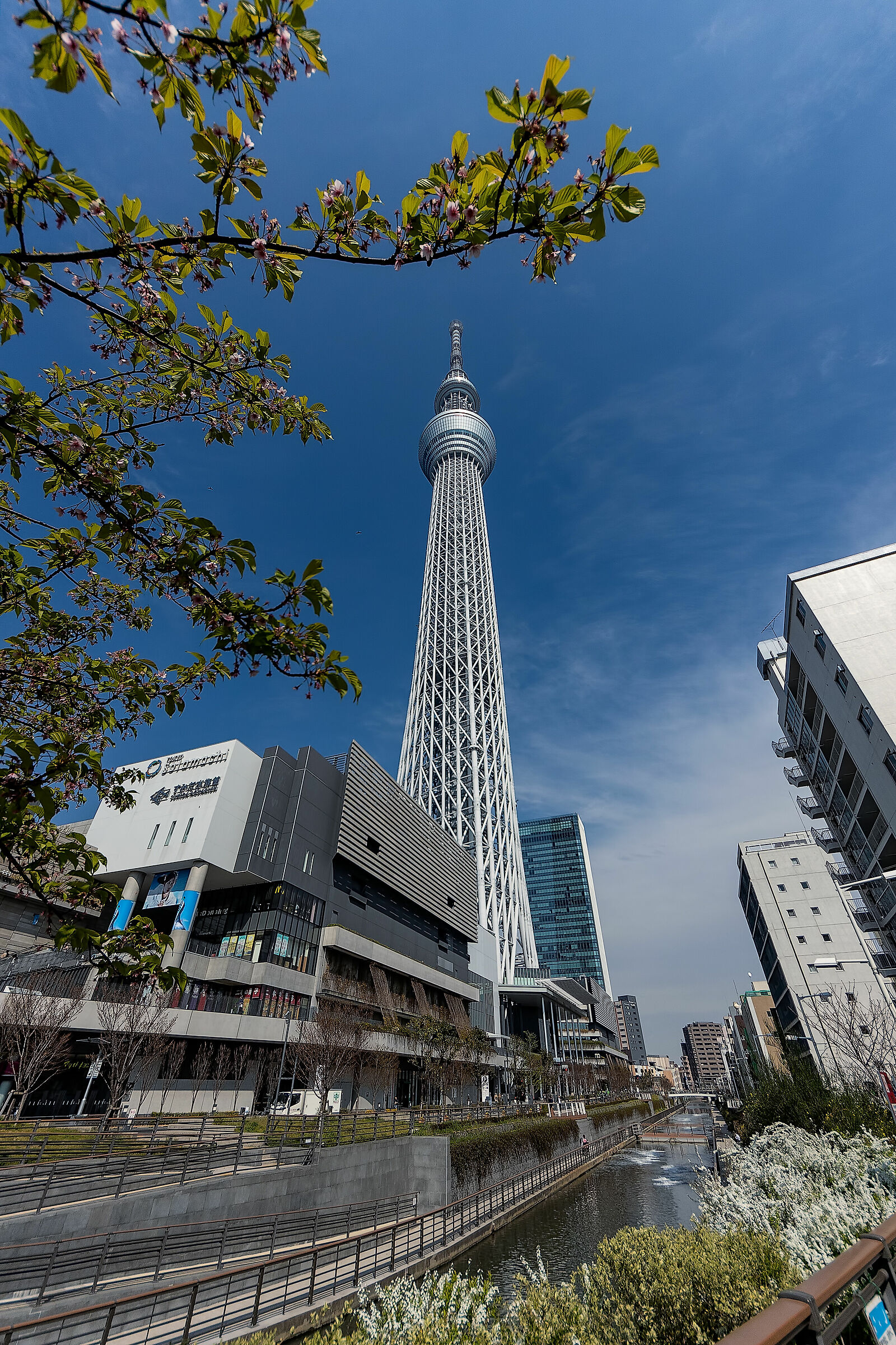 Tokyo Sky Tree
