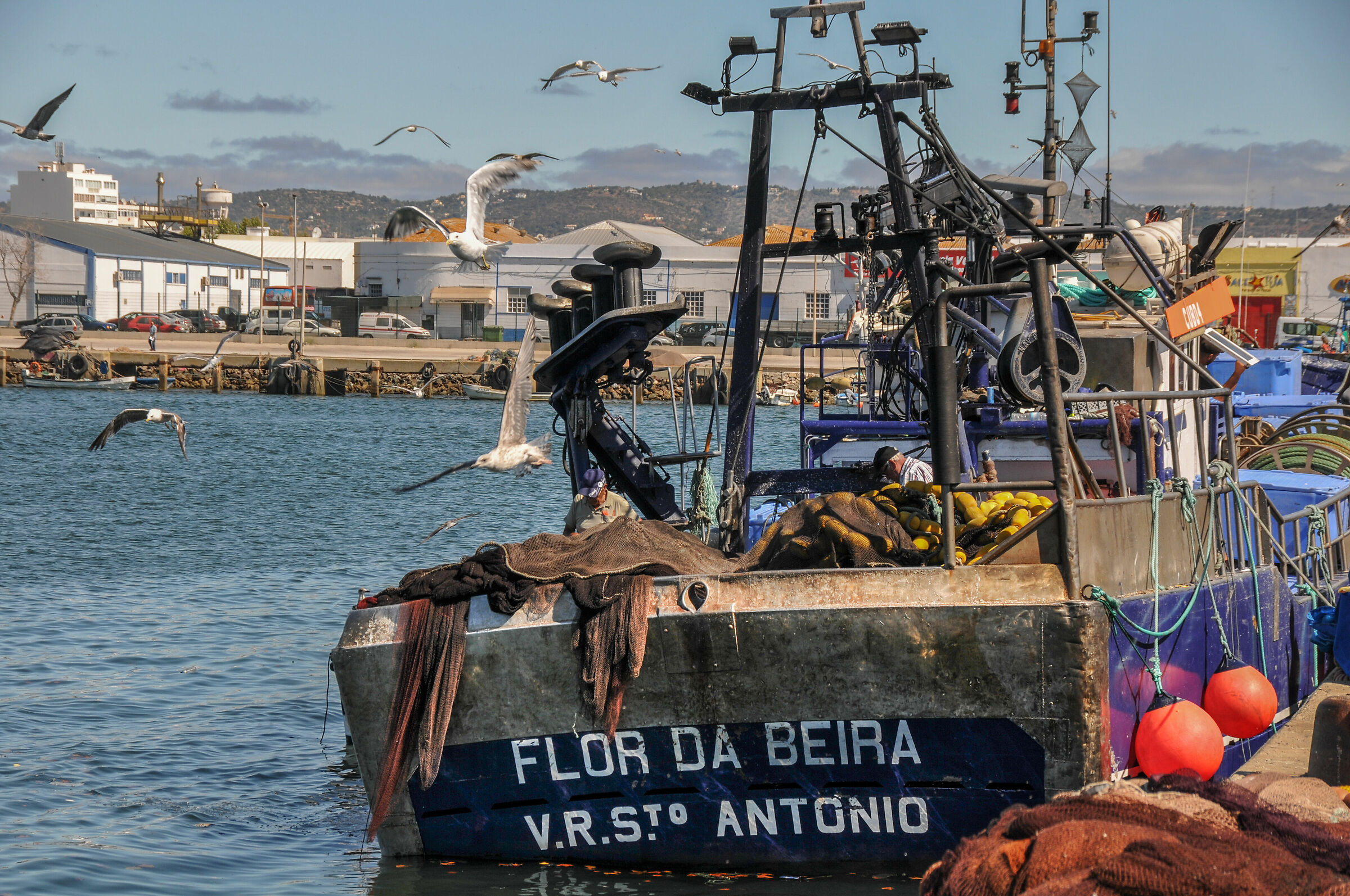 Sardine Trawler