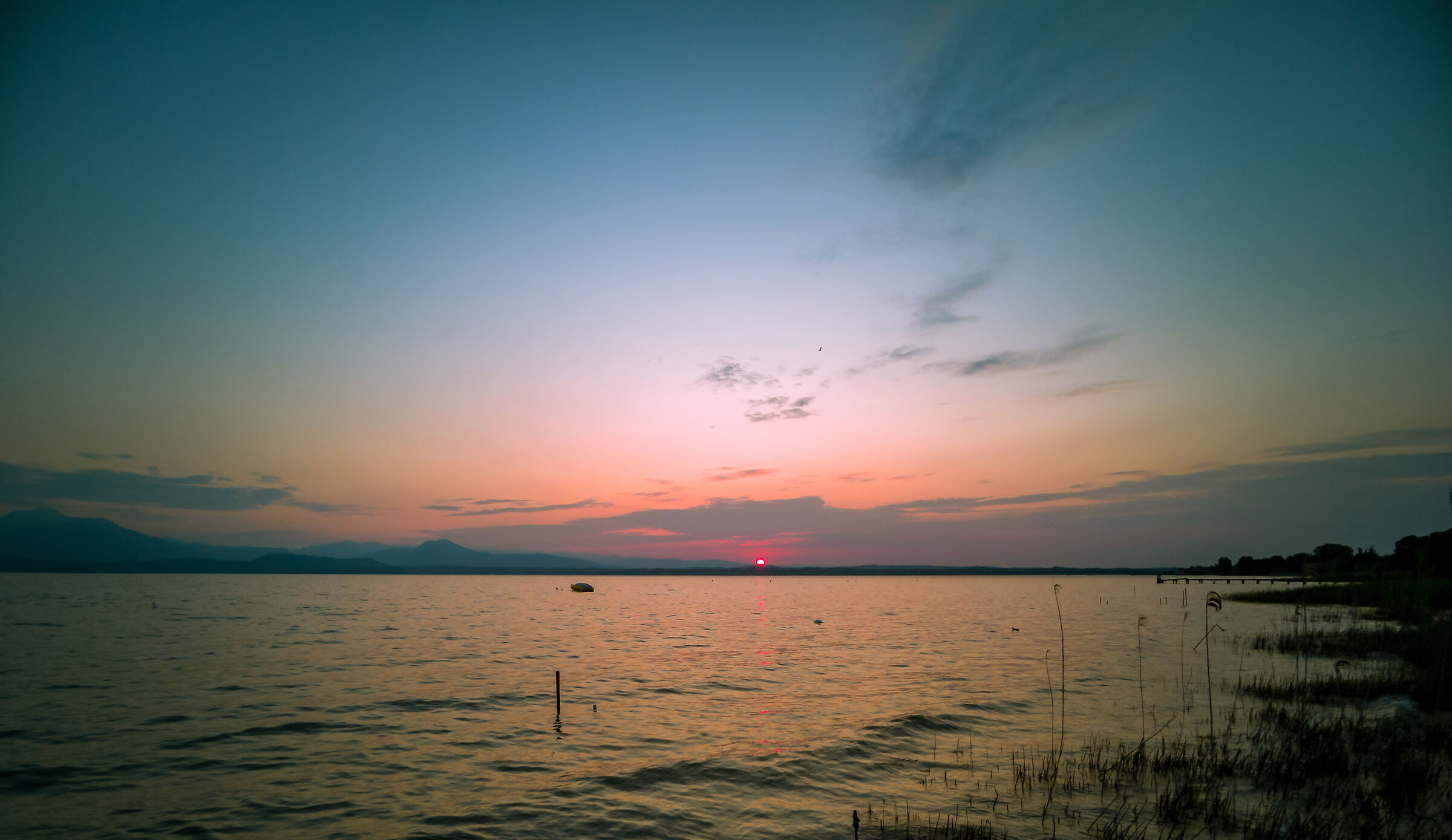 Untitled Photo