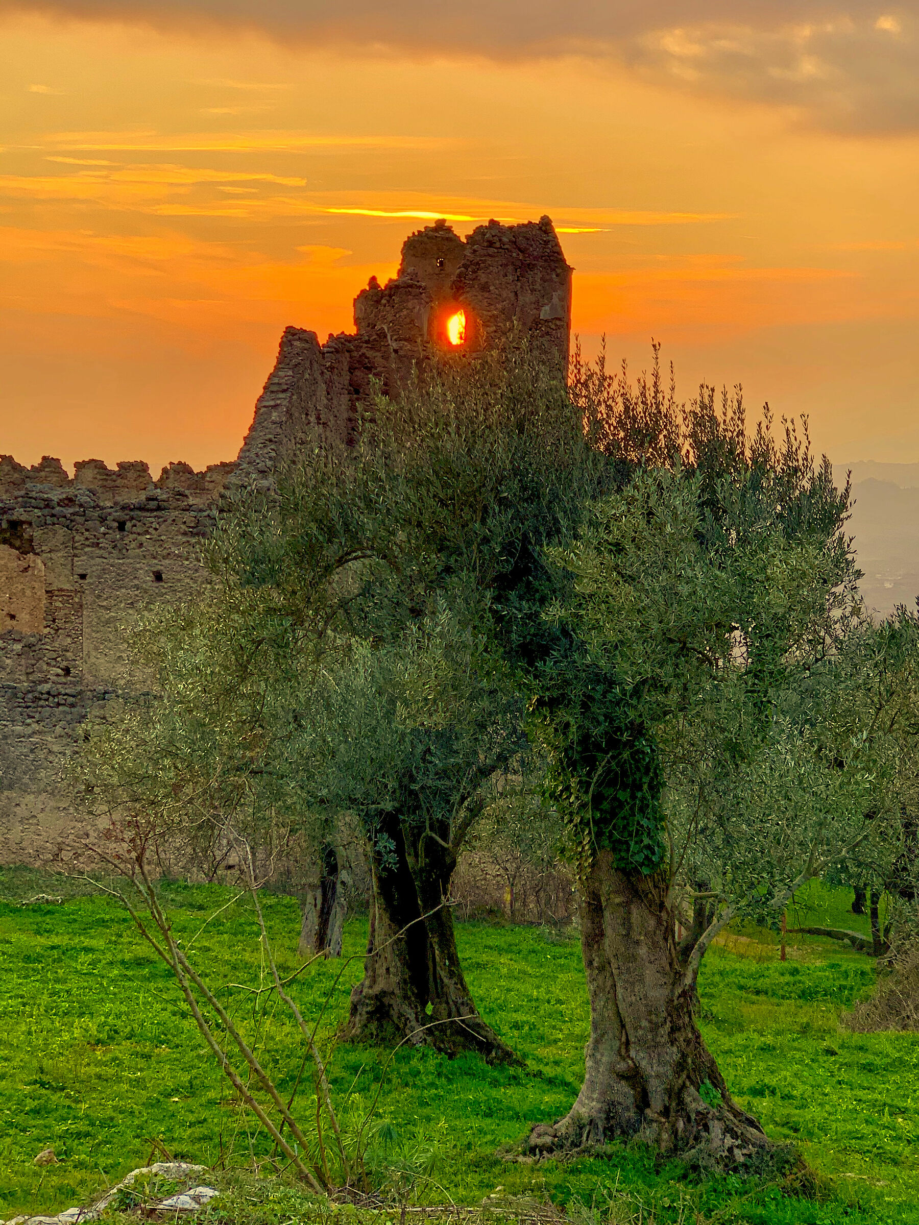 Olevano sul Tusciano