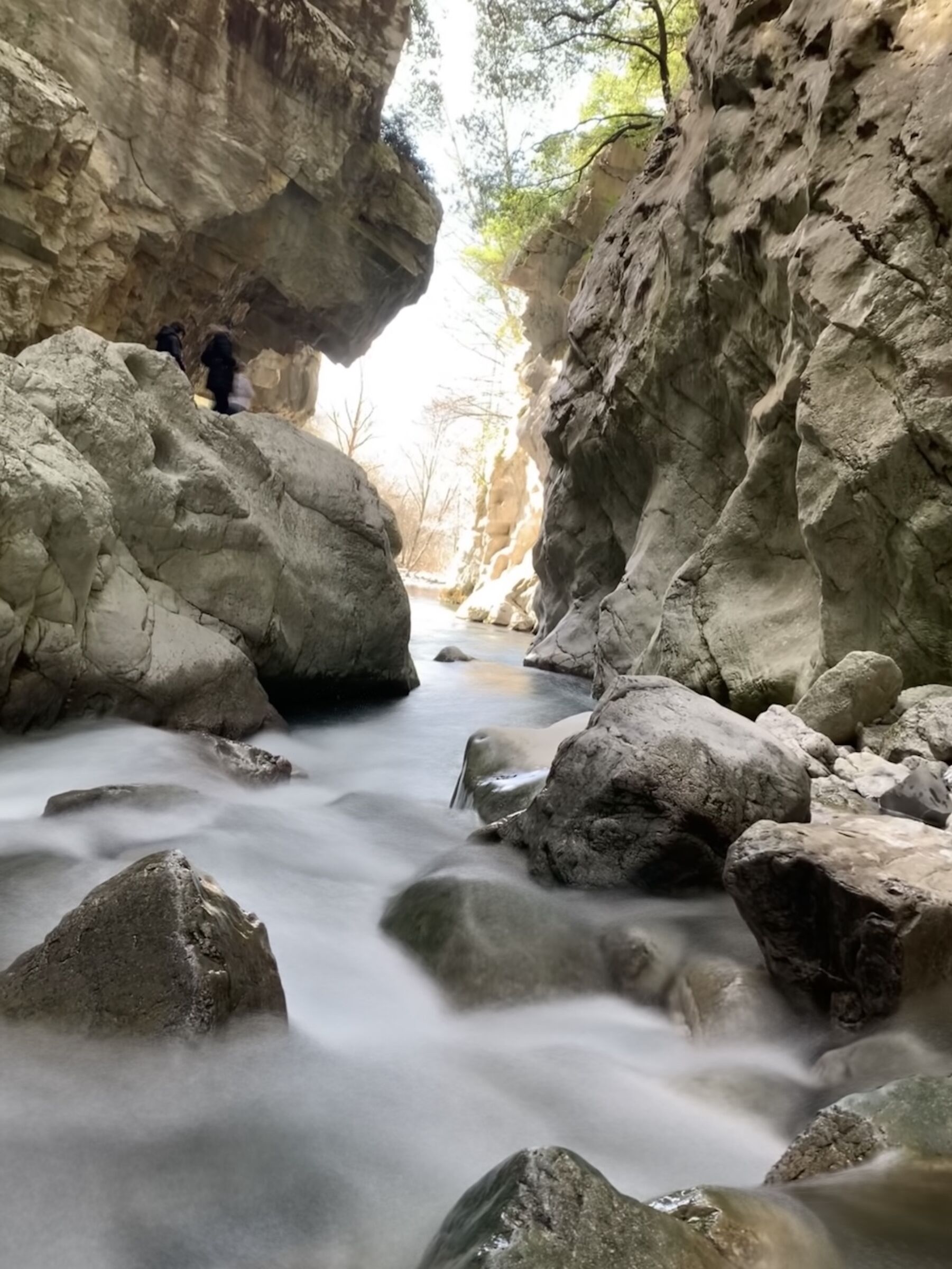 Sorgenti del Sammaro