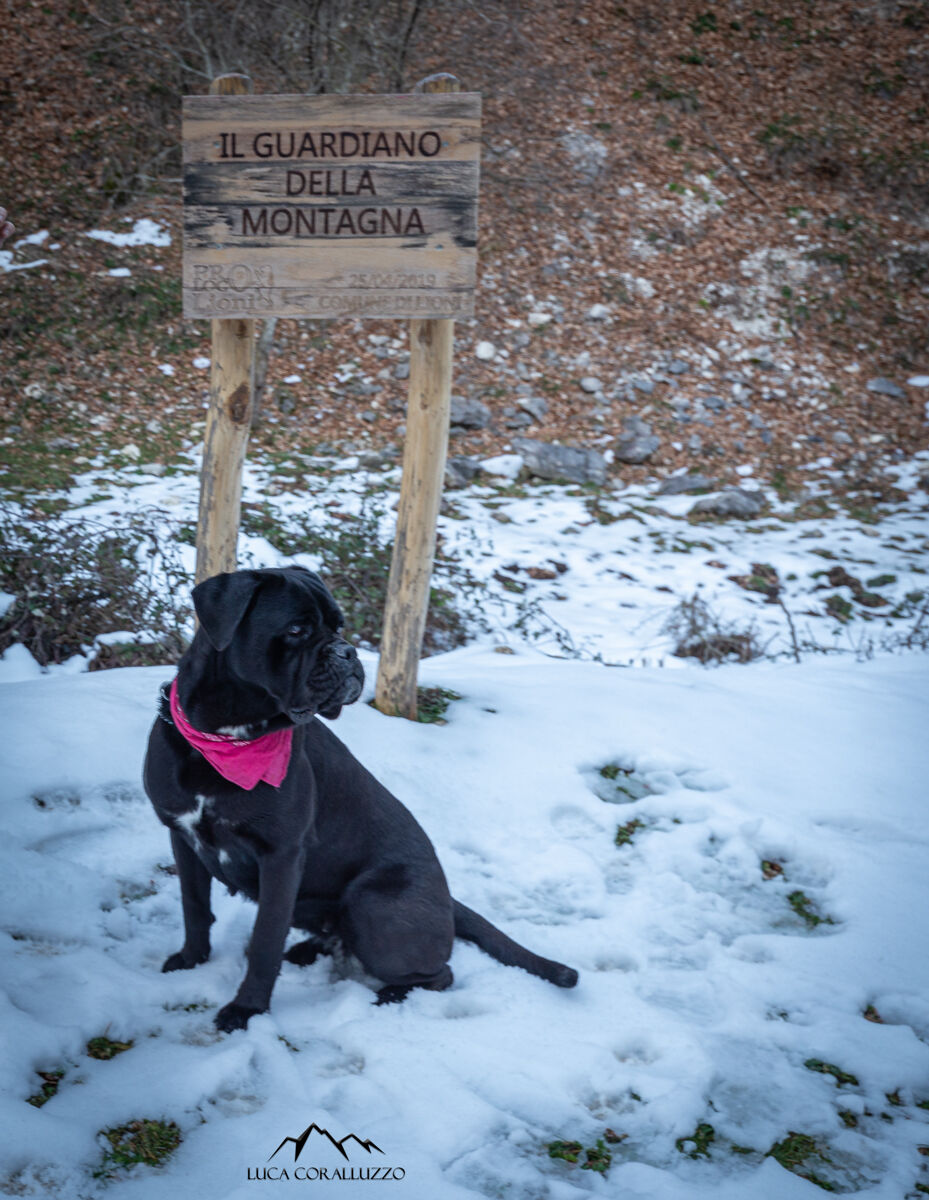 the guardian of the mountain :)