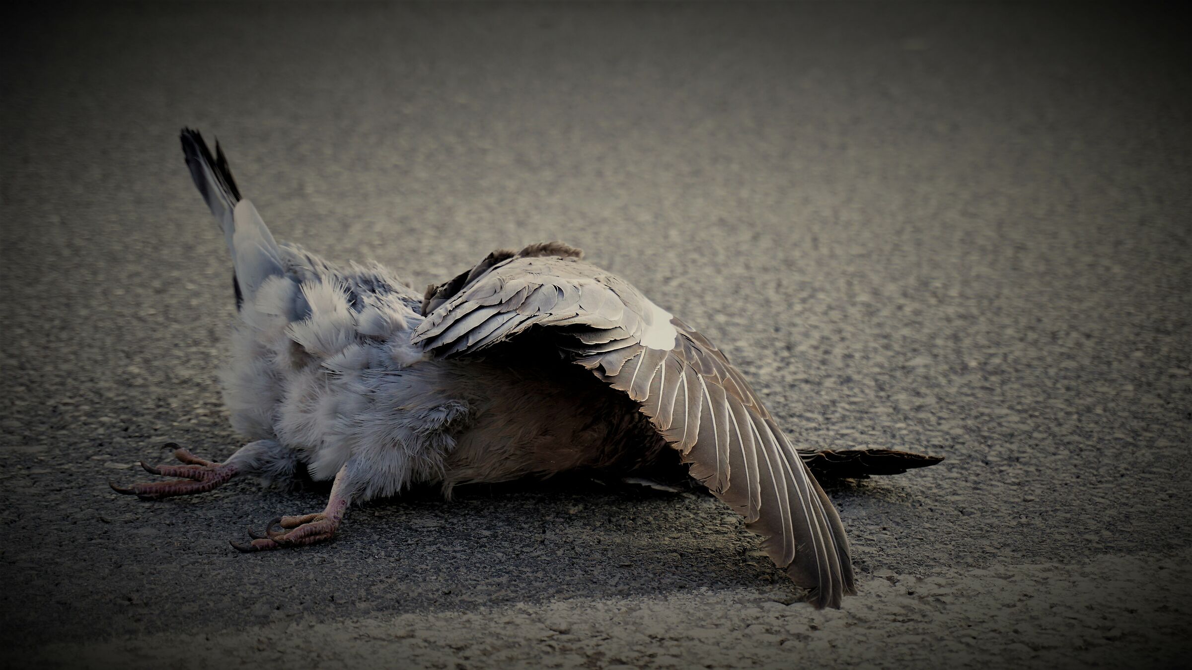 Property on the asphalt