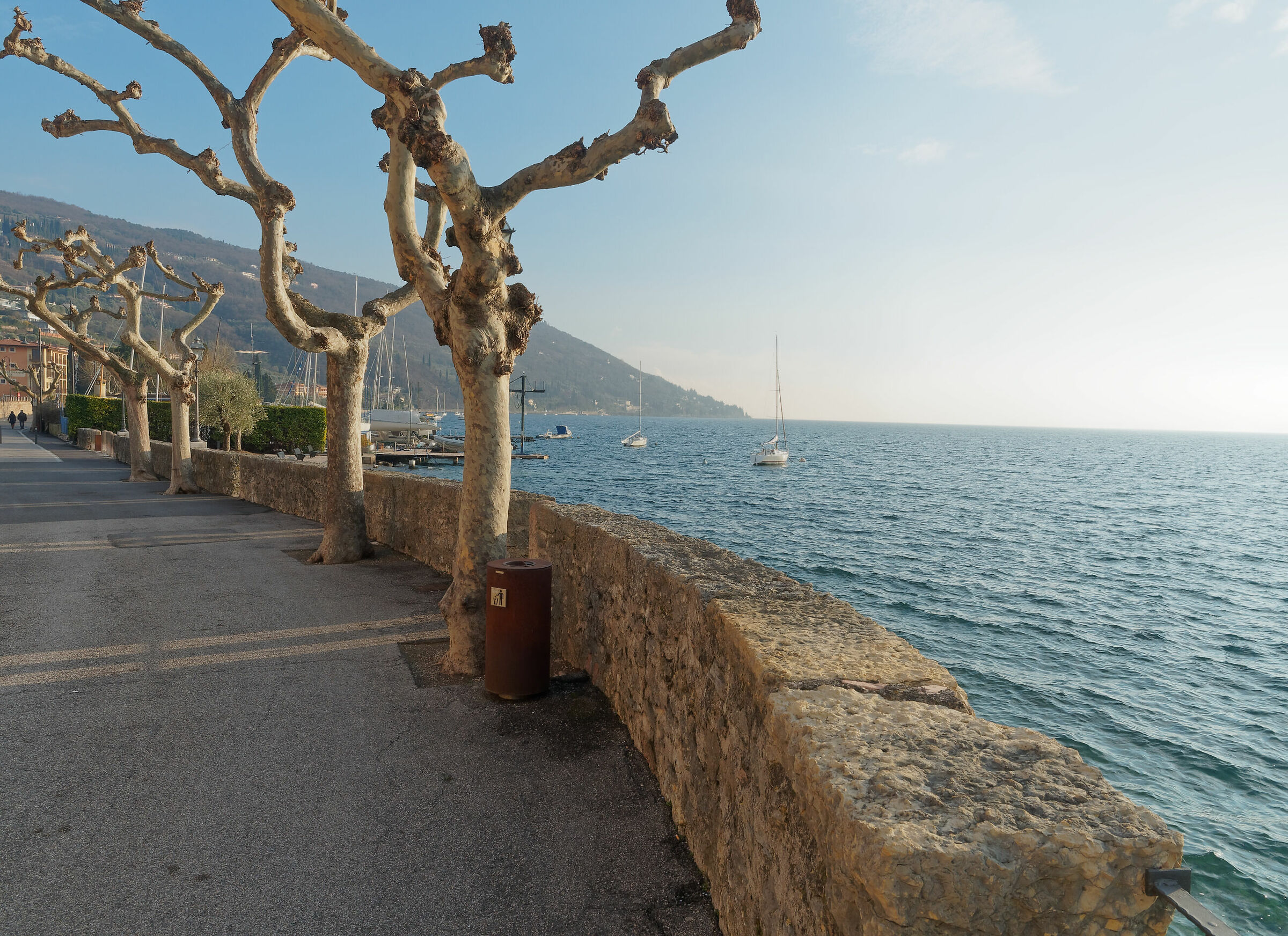 Lago di Garda Torri del Benaco e colline moreniche