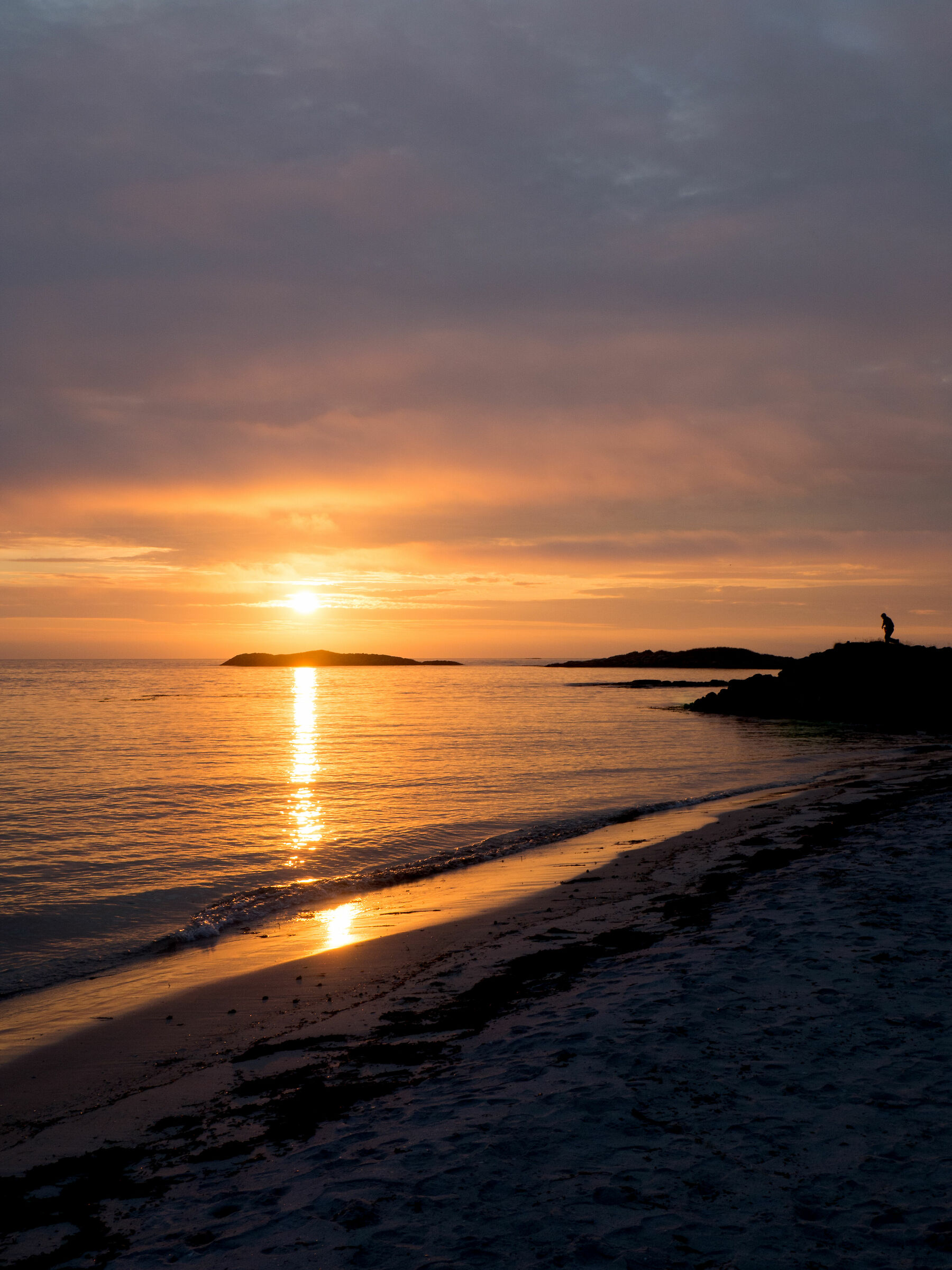 Solitudine di mezzanotte