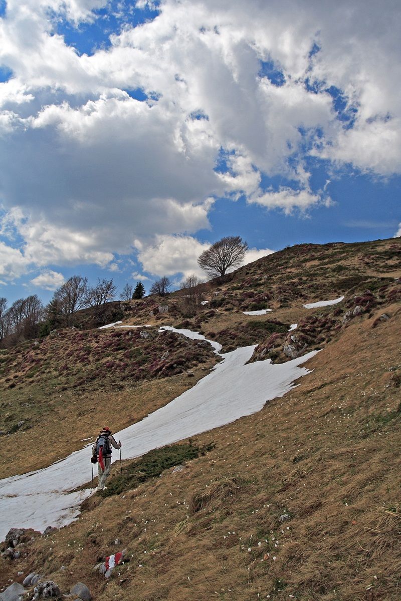 To the shelter Gherardi