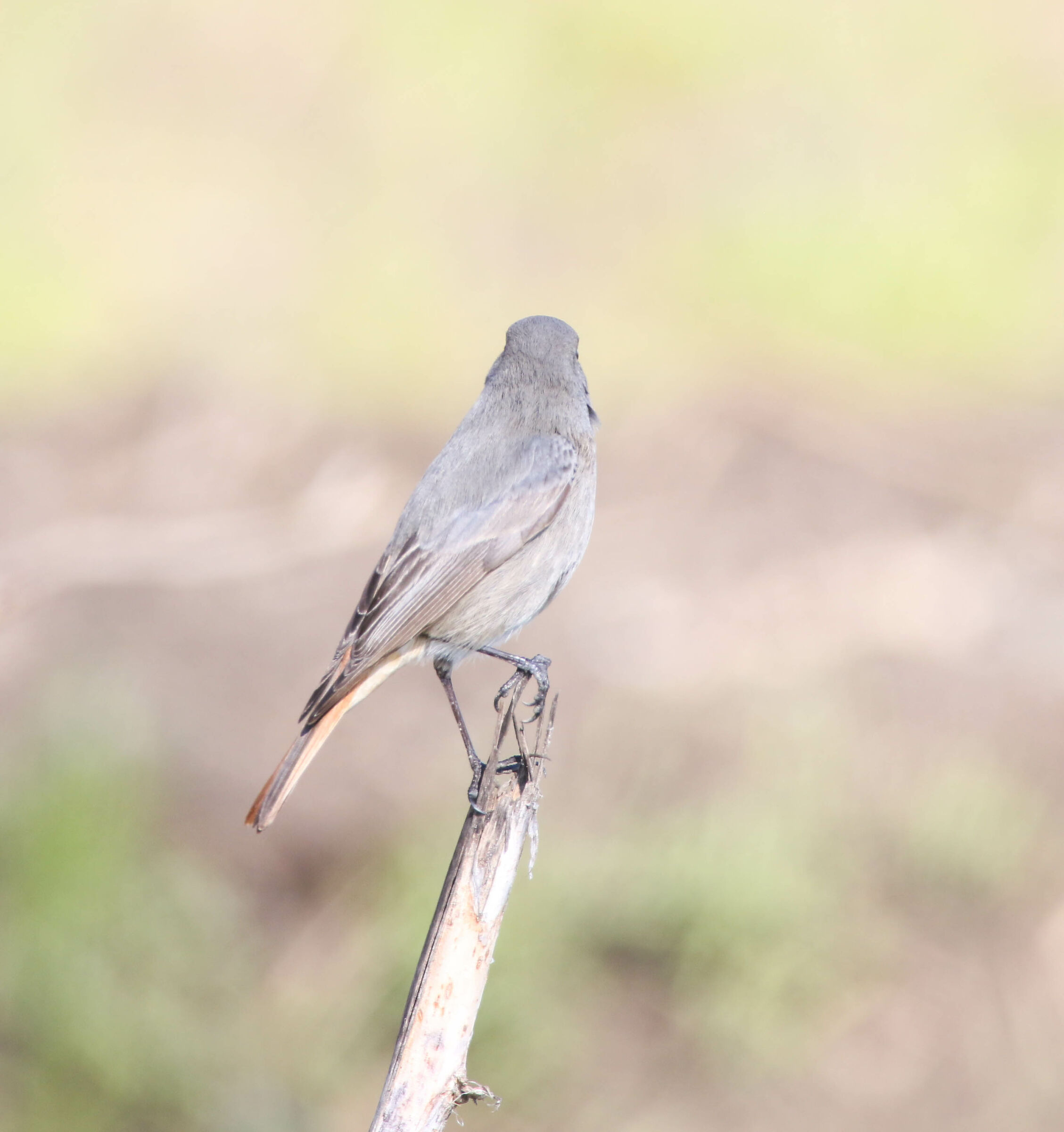 Guardando l'infinito