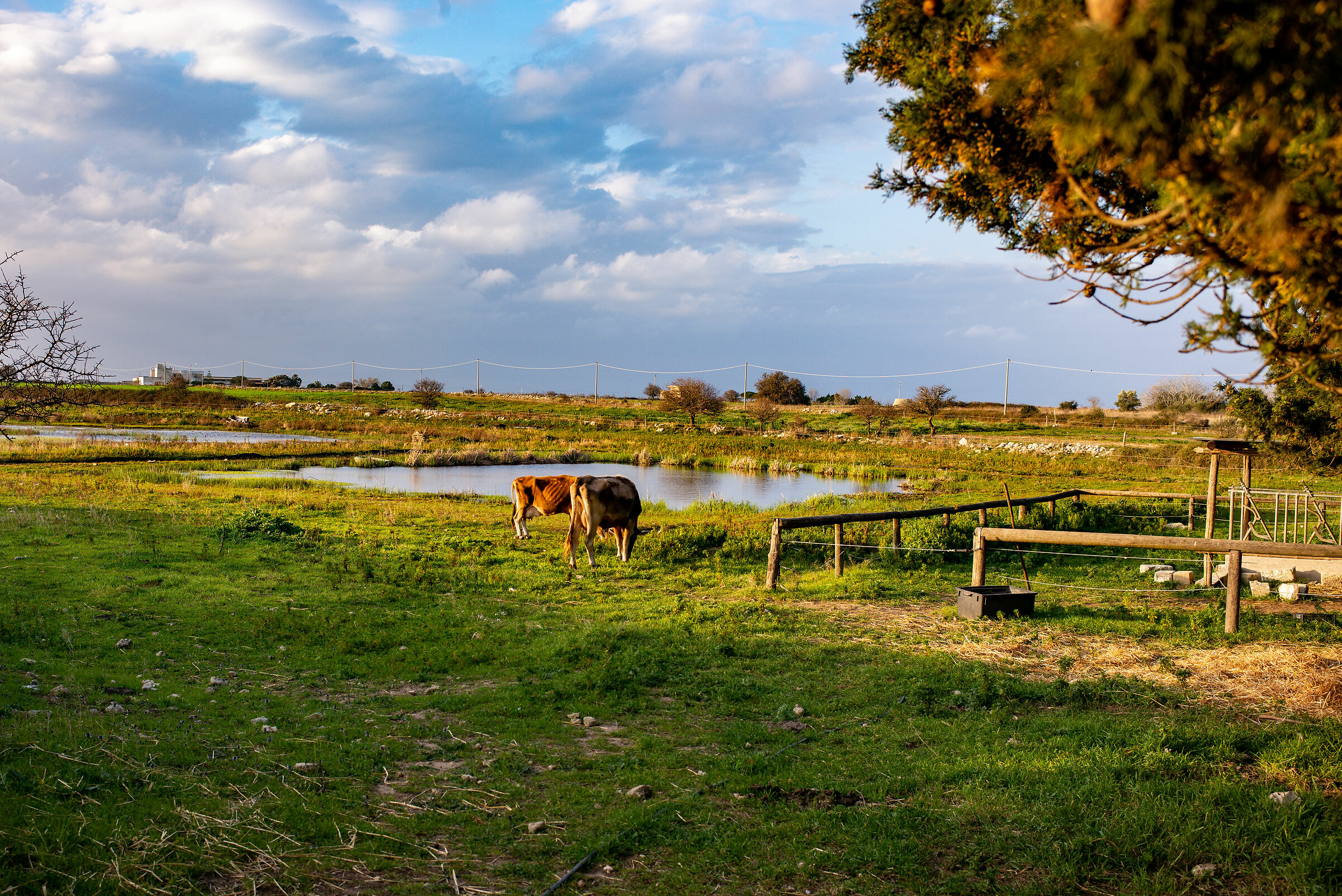 Masseria Fossa (Lecce)