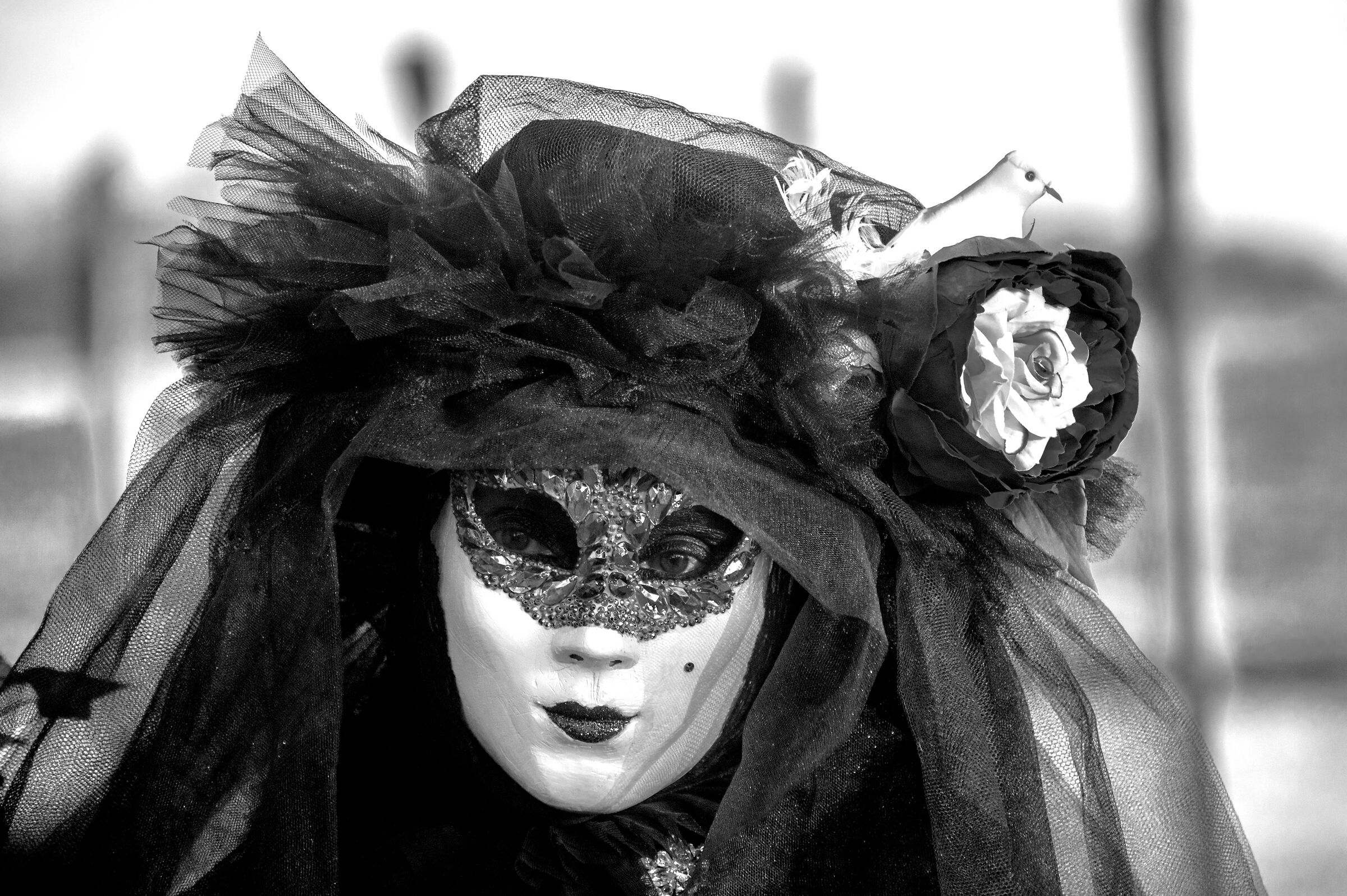 Venice before .......