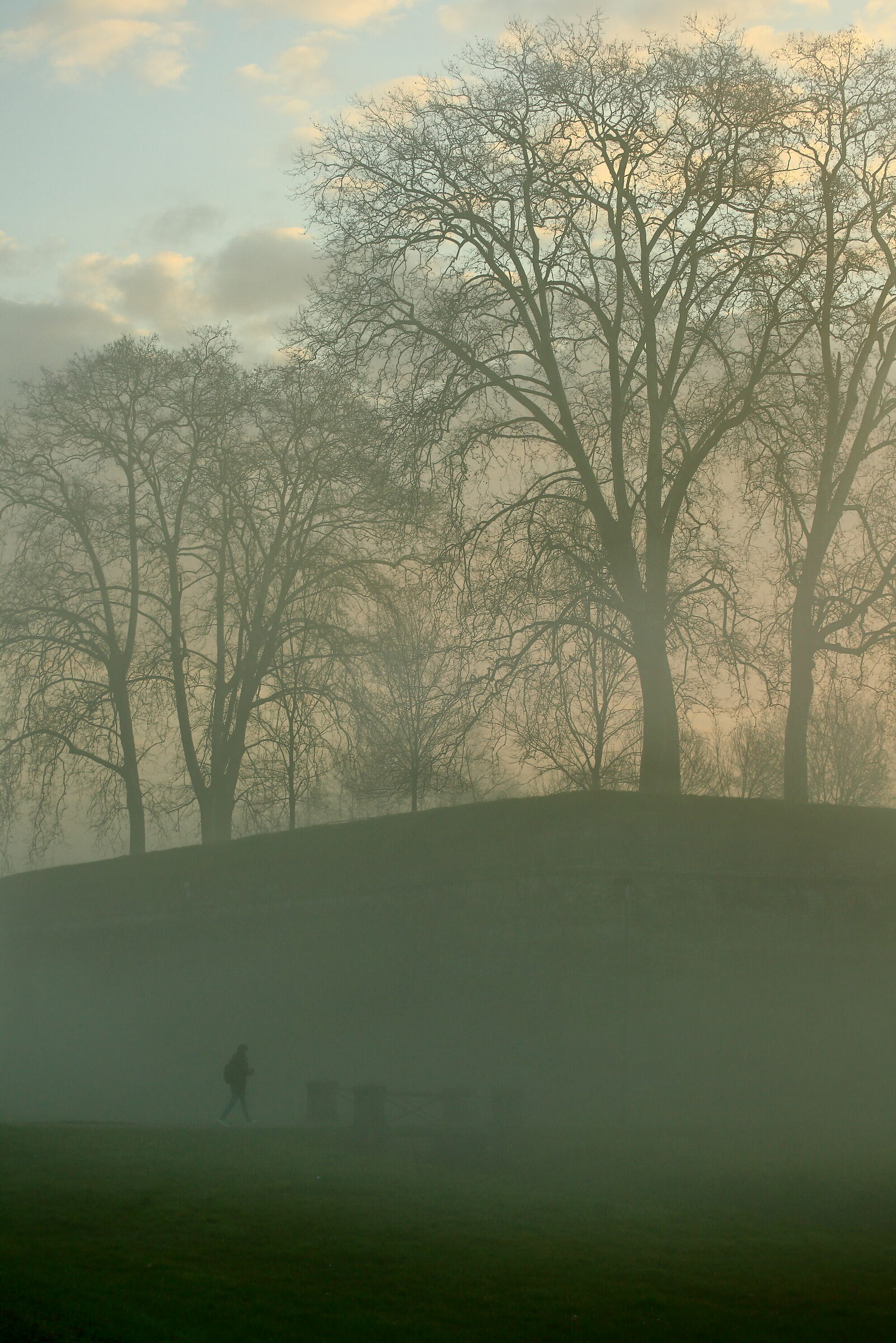 La mattina, andando a lavoro 2