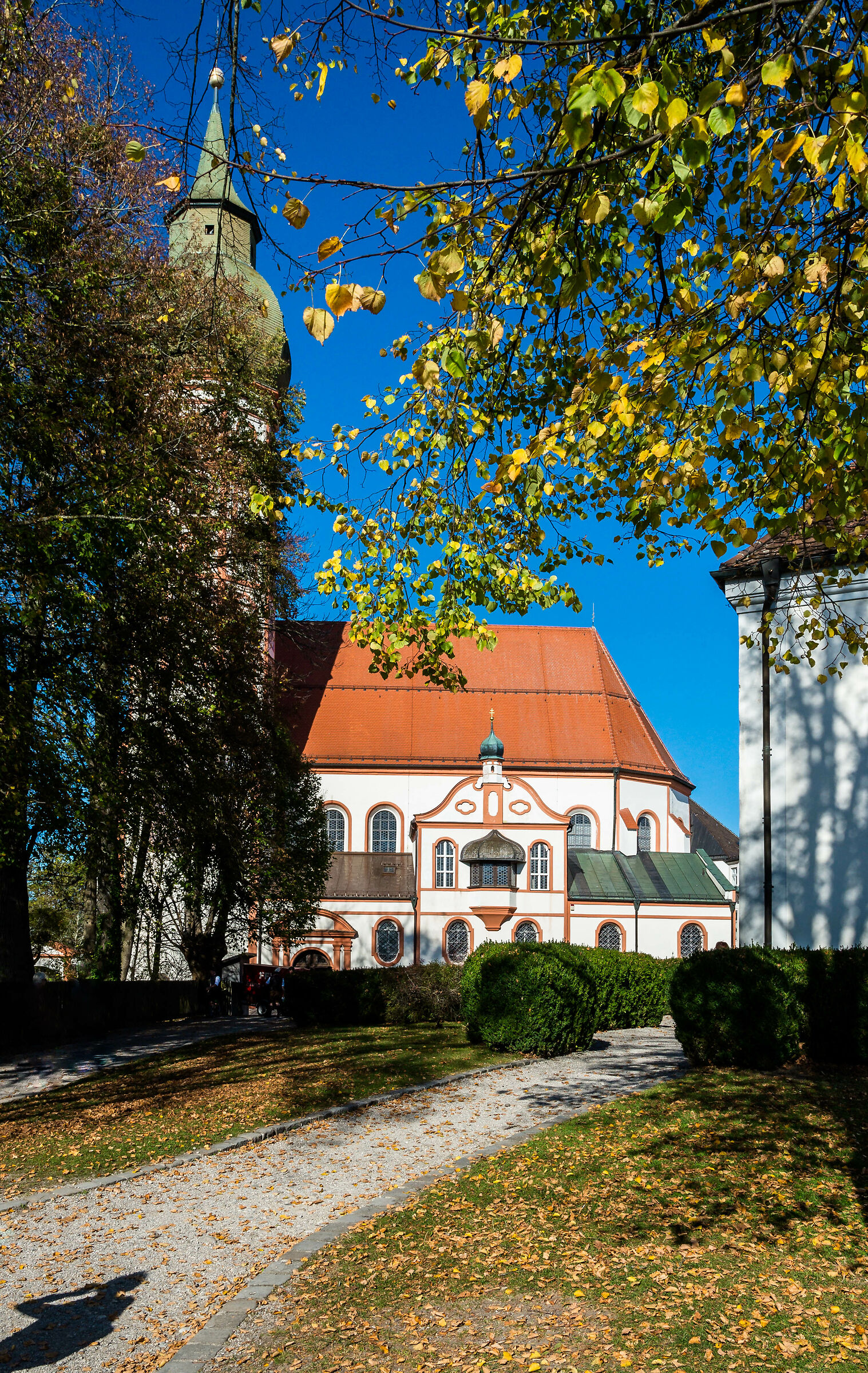 "... a stealthy shadow..."