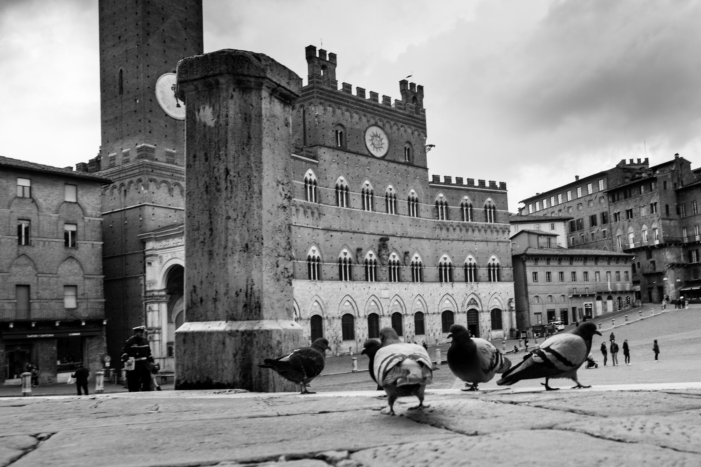Street in Siena