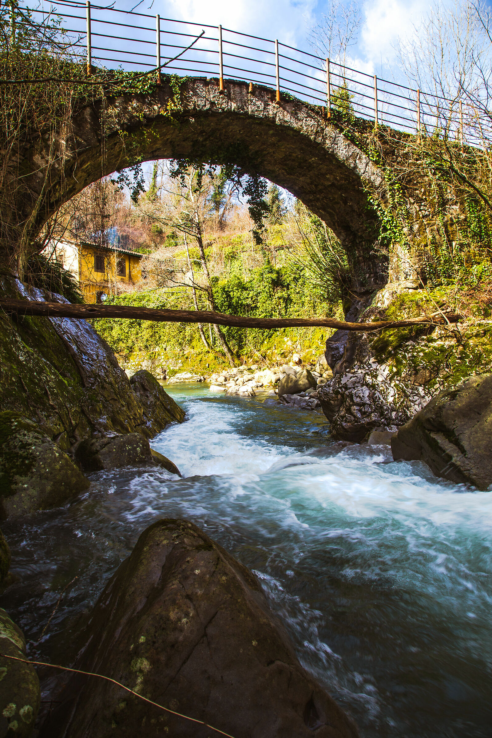 L'arco