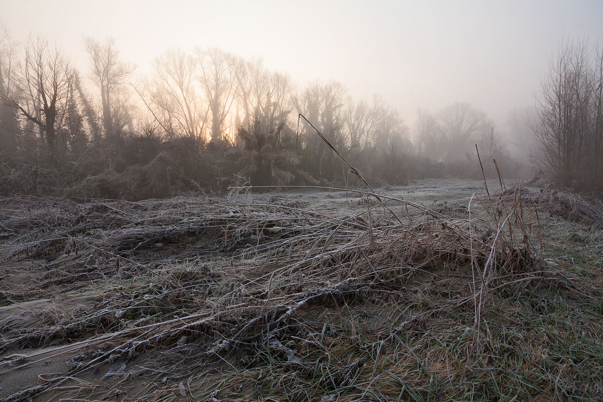 The dawn of a new day