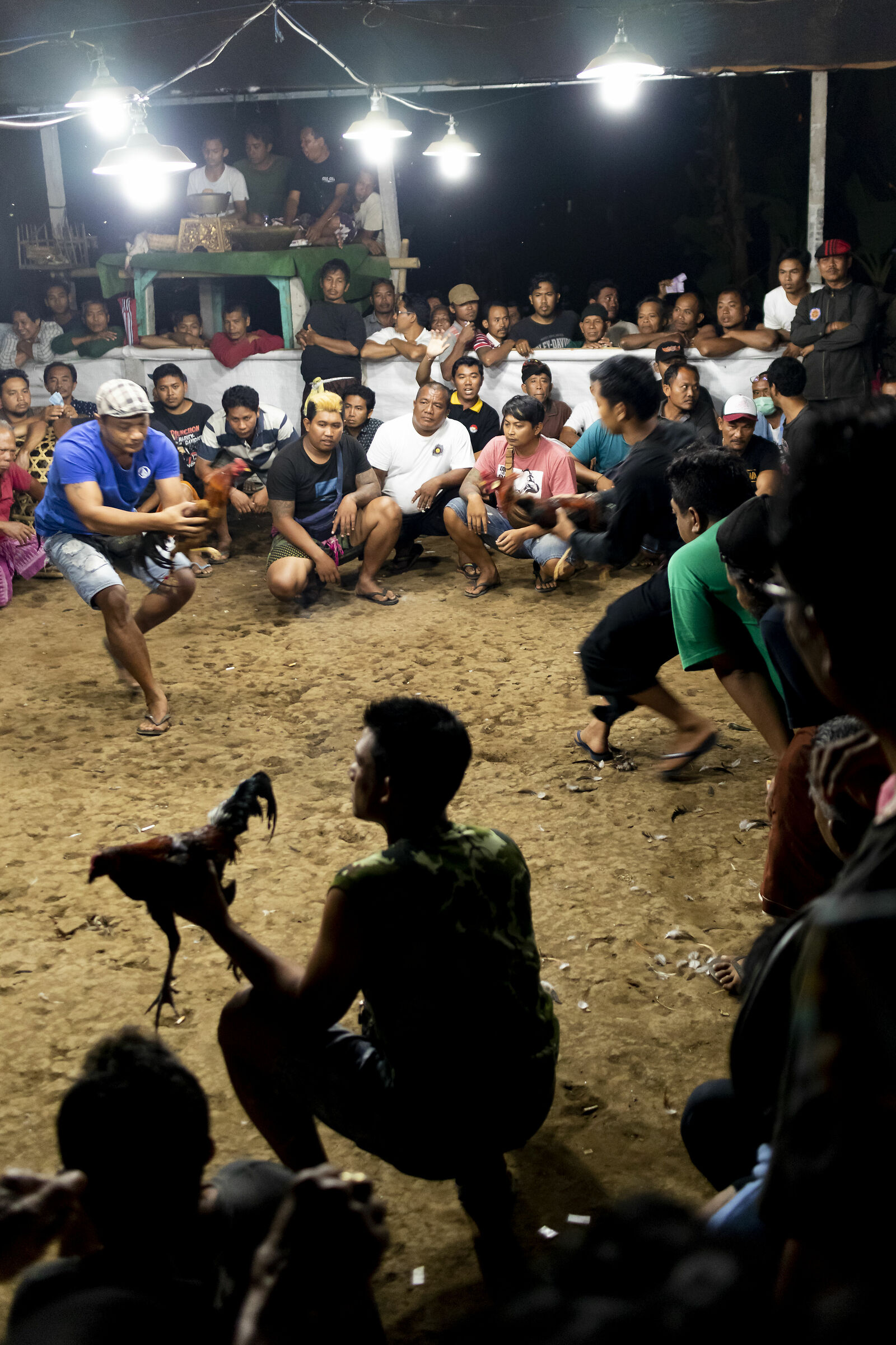 Cockfighting in Bali