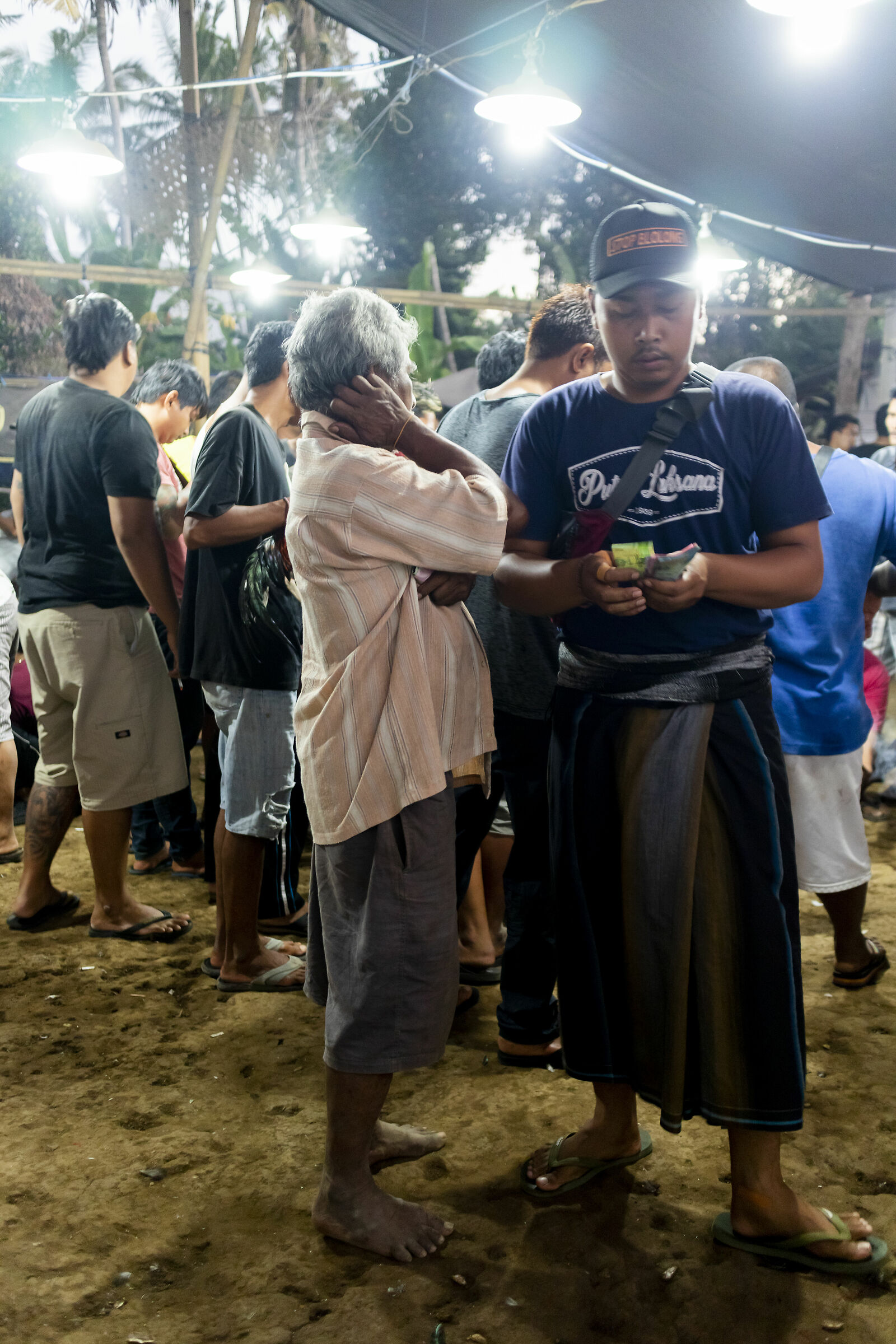 Cockfighting in Bali