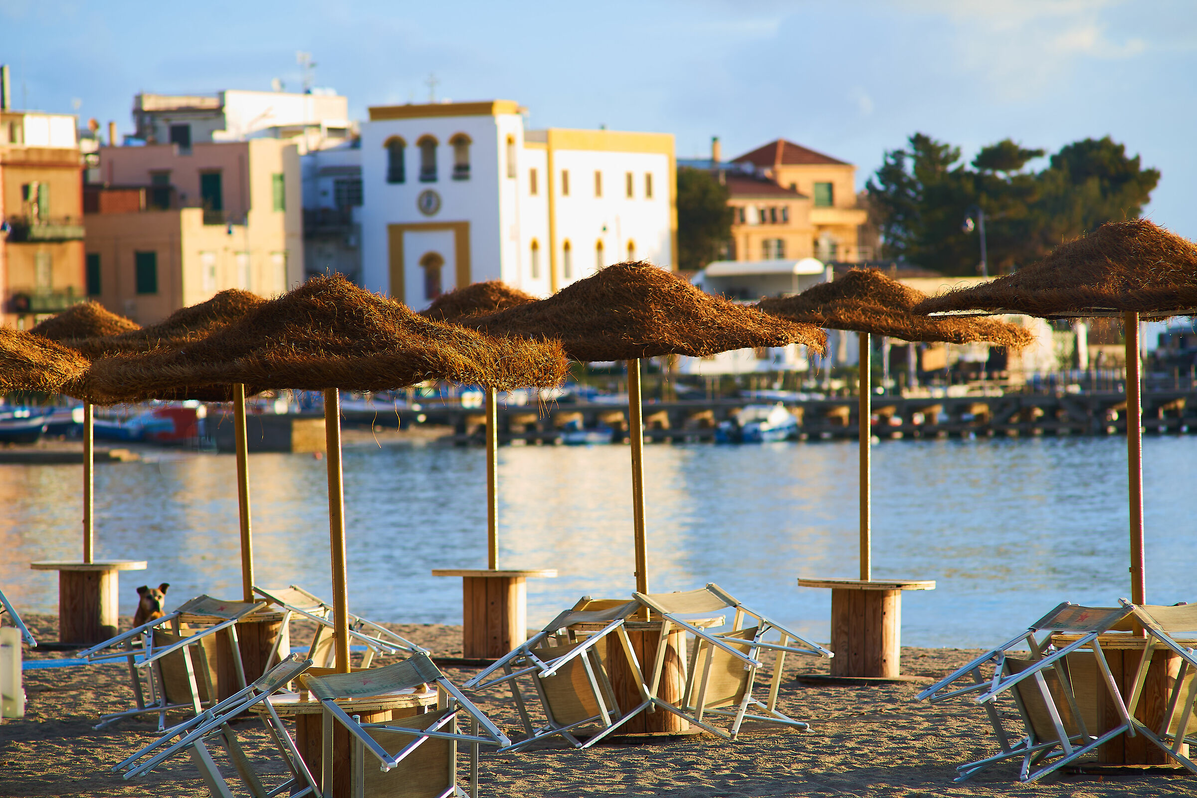 Mondello oggi:non vero che non c'è neanche un can...