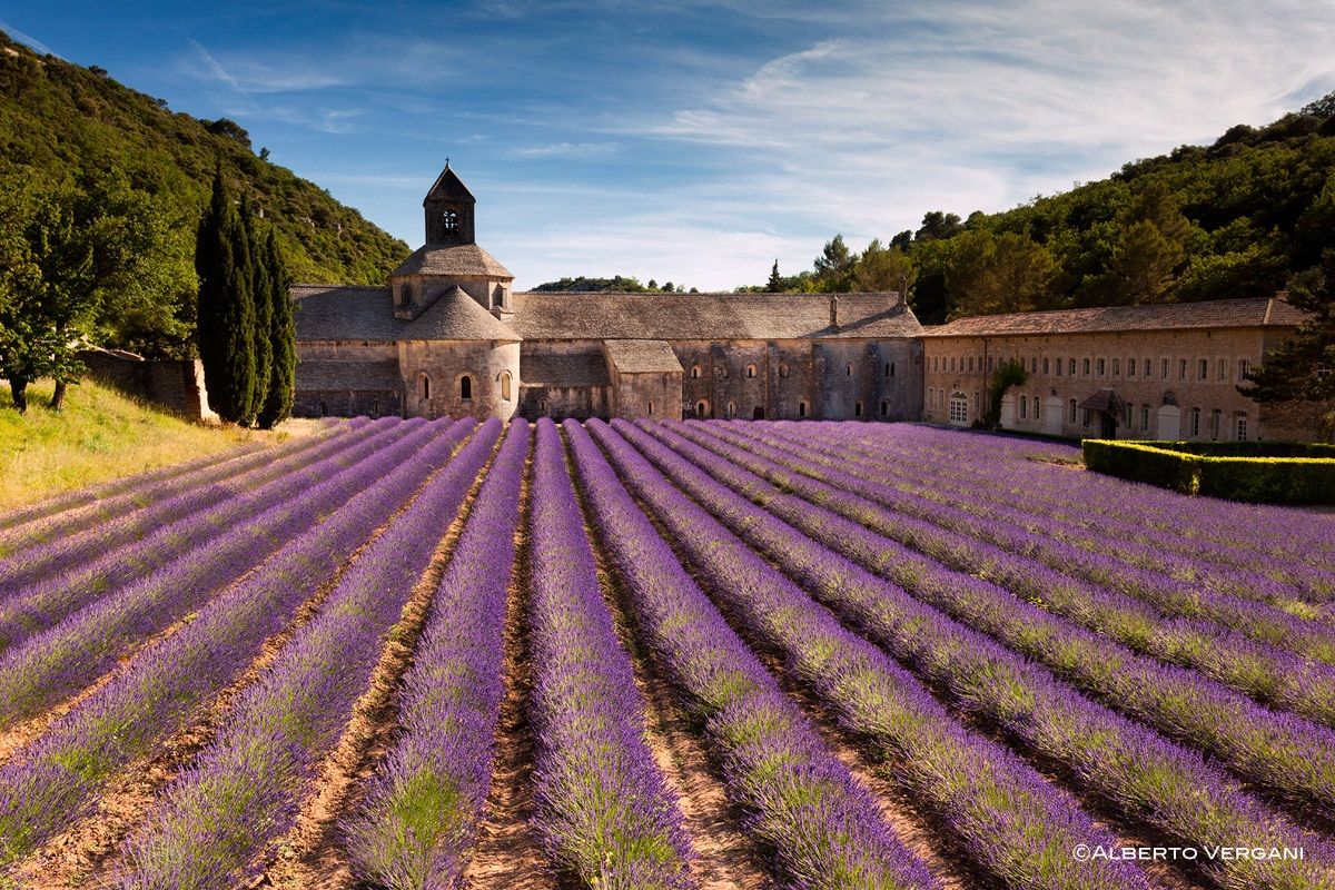 Abbey Sénanque