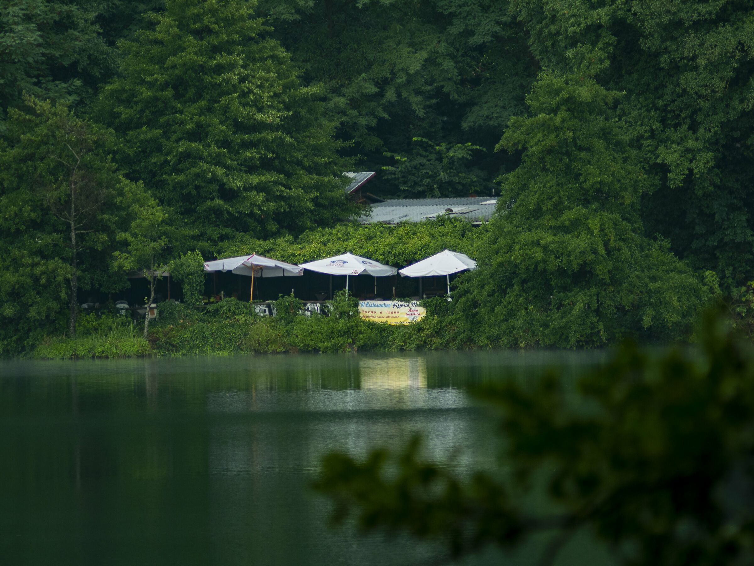 Relax,nella vegetazione più profonda