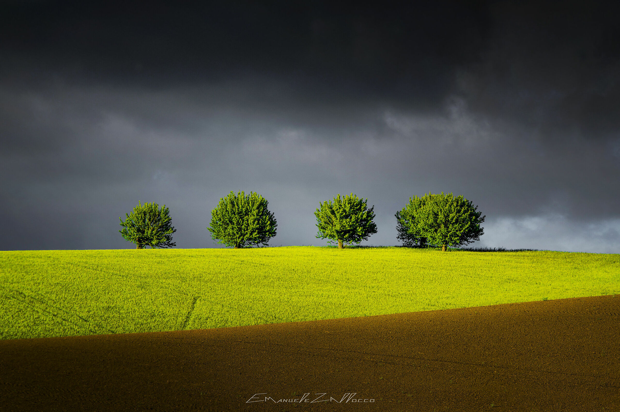 Reality and Illusion