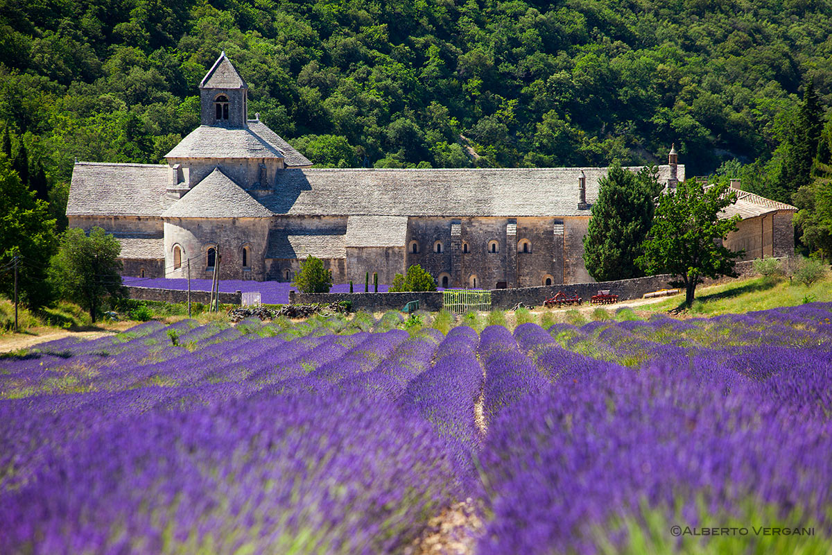 Abbey Sénanque
