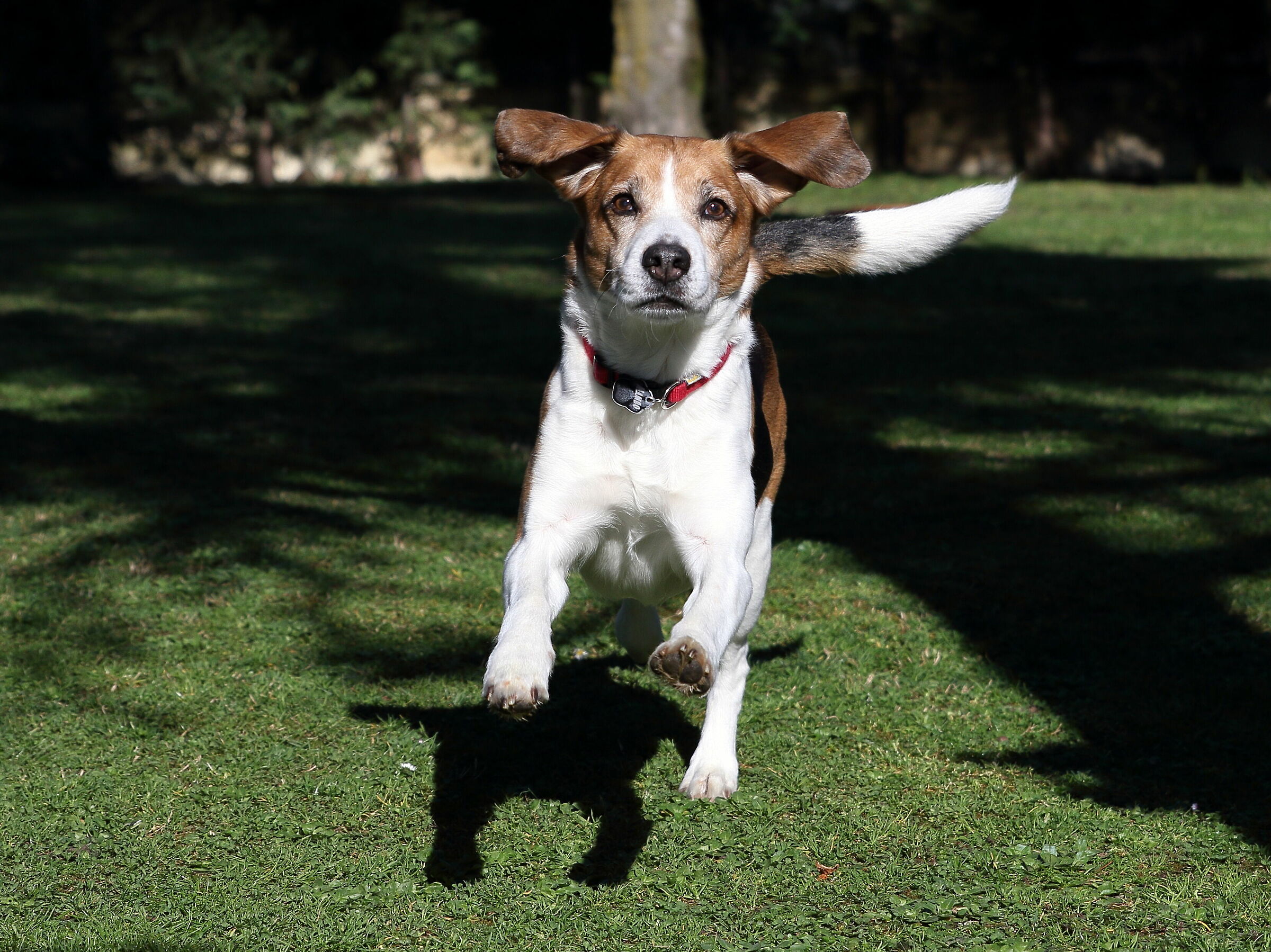 let's try the 24-70 tamron