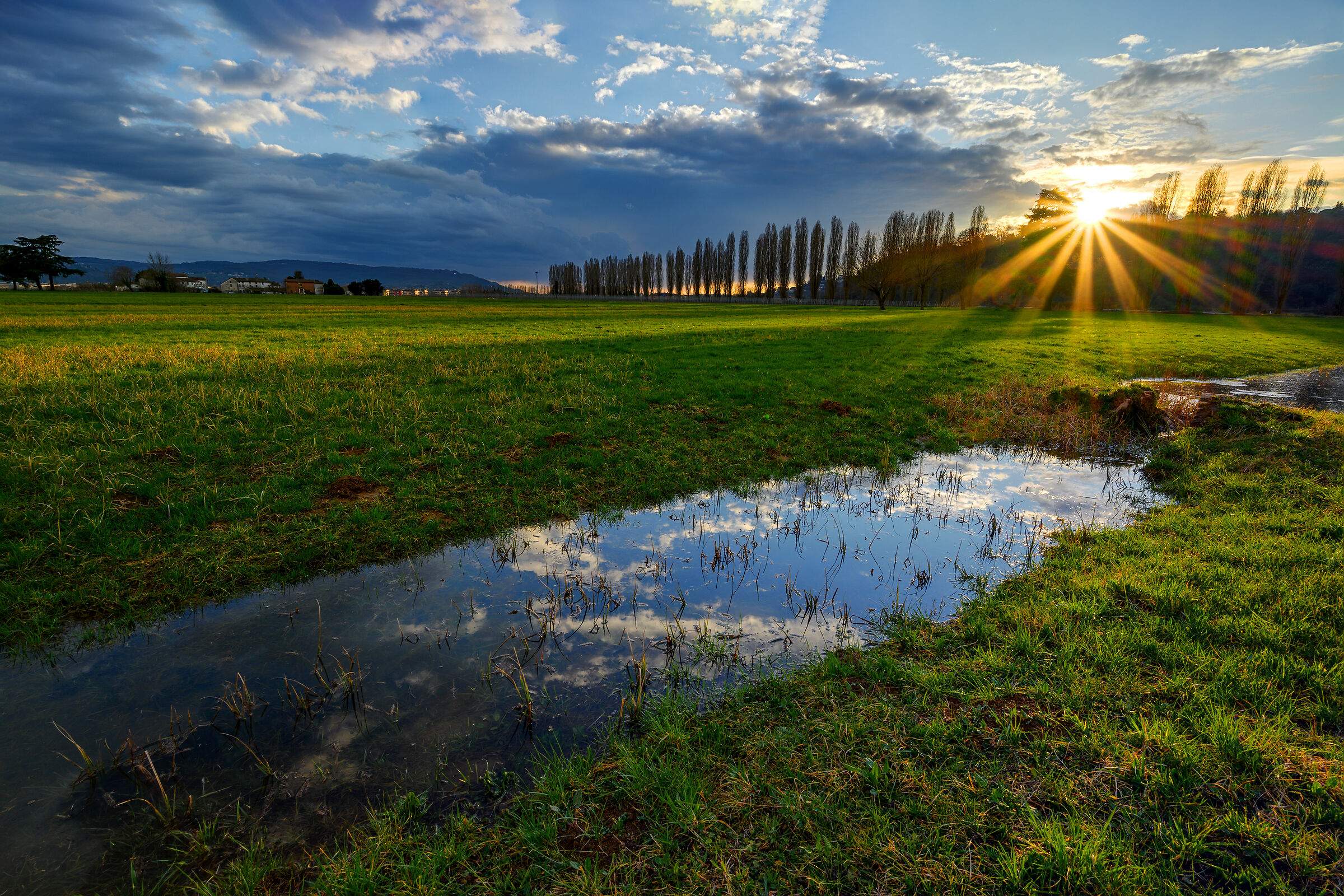 Affectionate Sunbeam