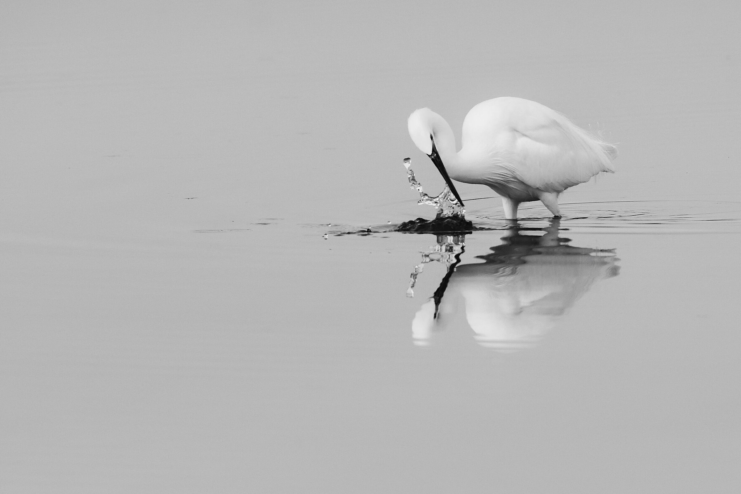 Untitled Photo