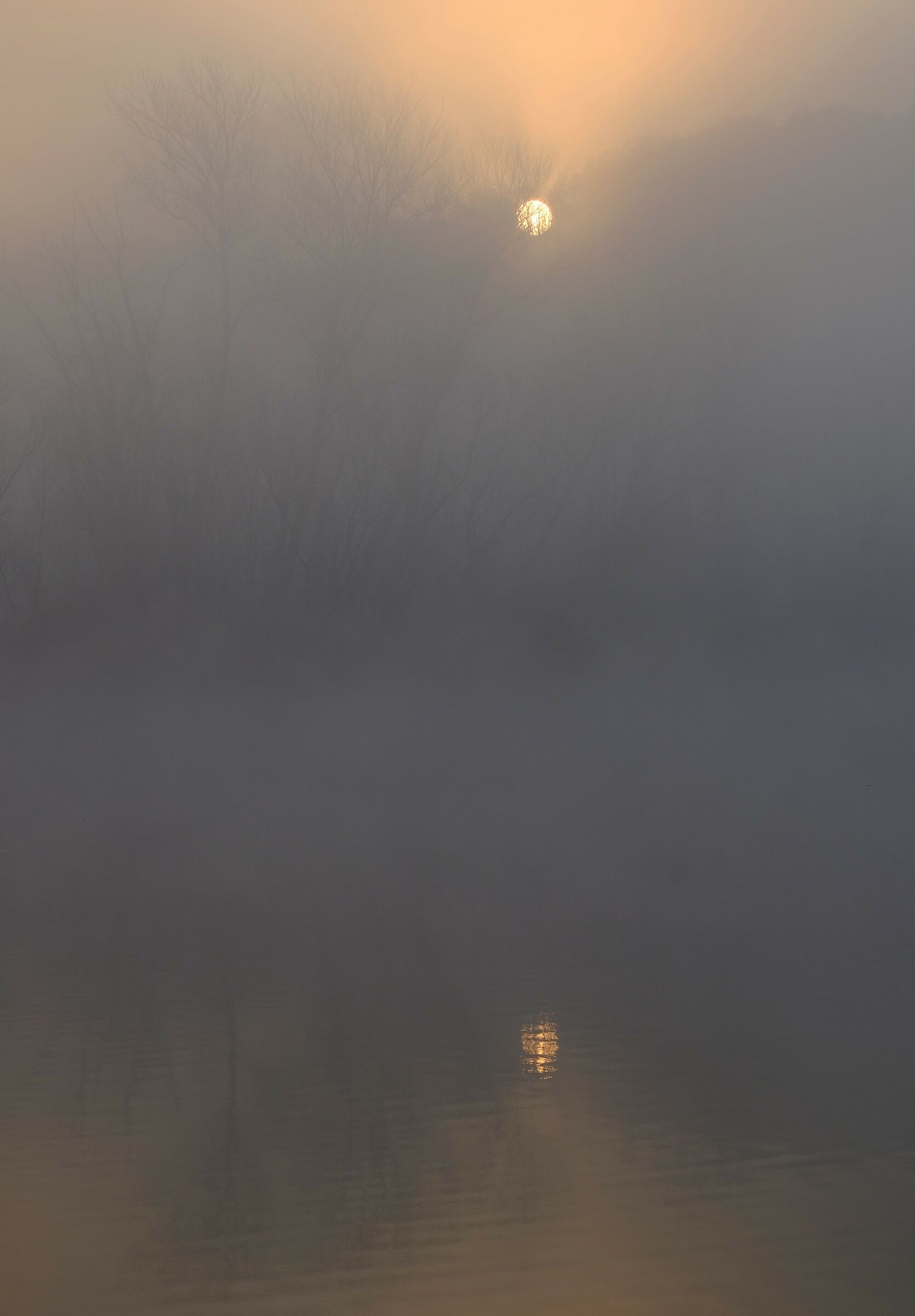 but in the meantime the sun in the fog is already filtering....