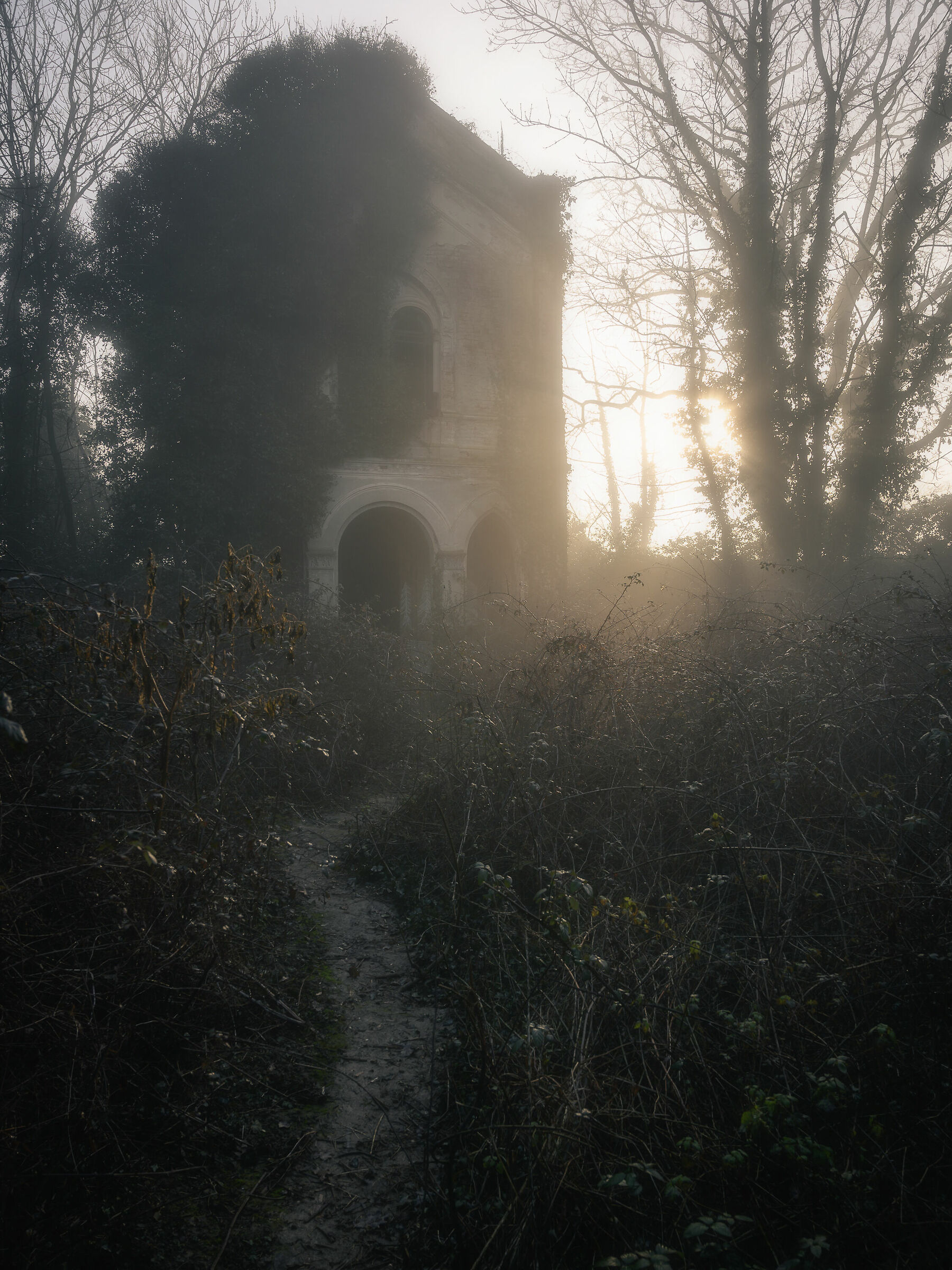 Vita di risaia: il cimitero abbandonato di  Darola