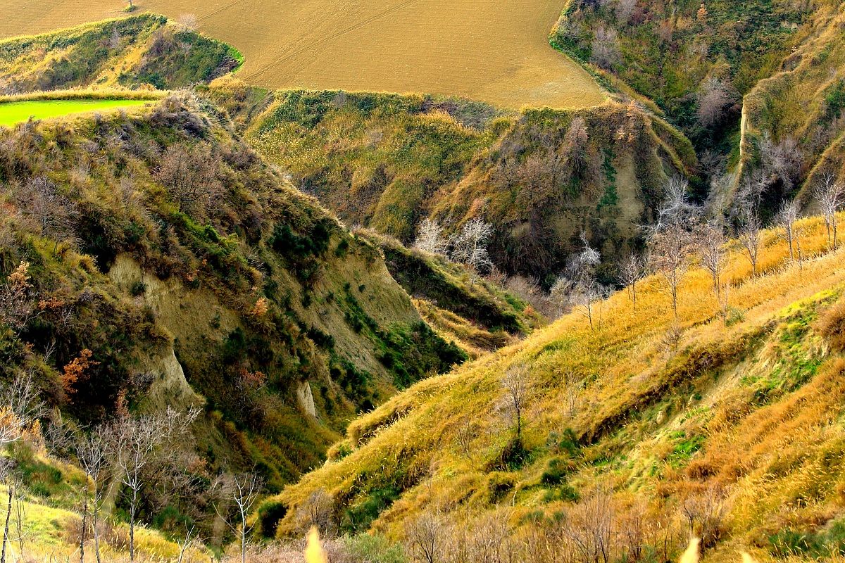 Timido risveglio primaverile.