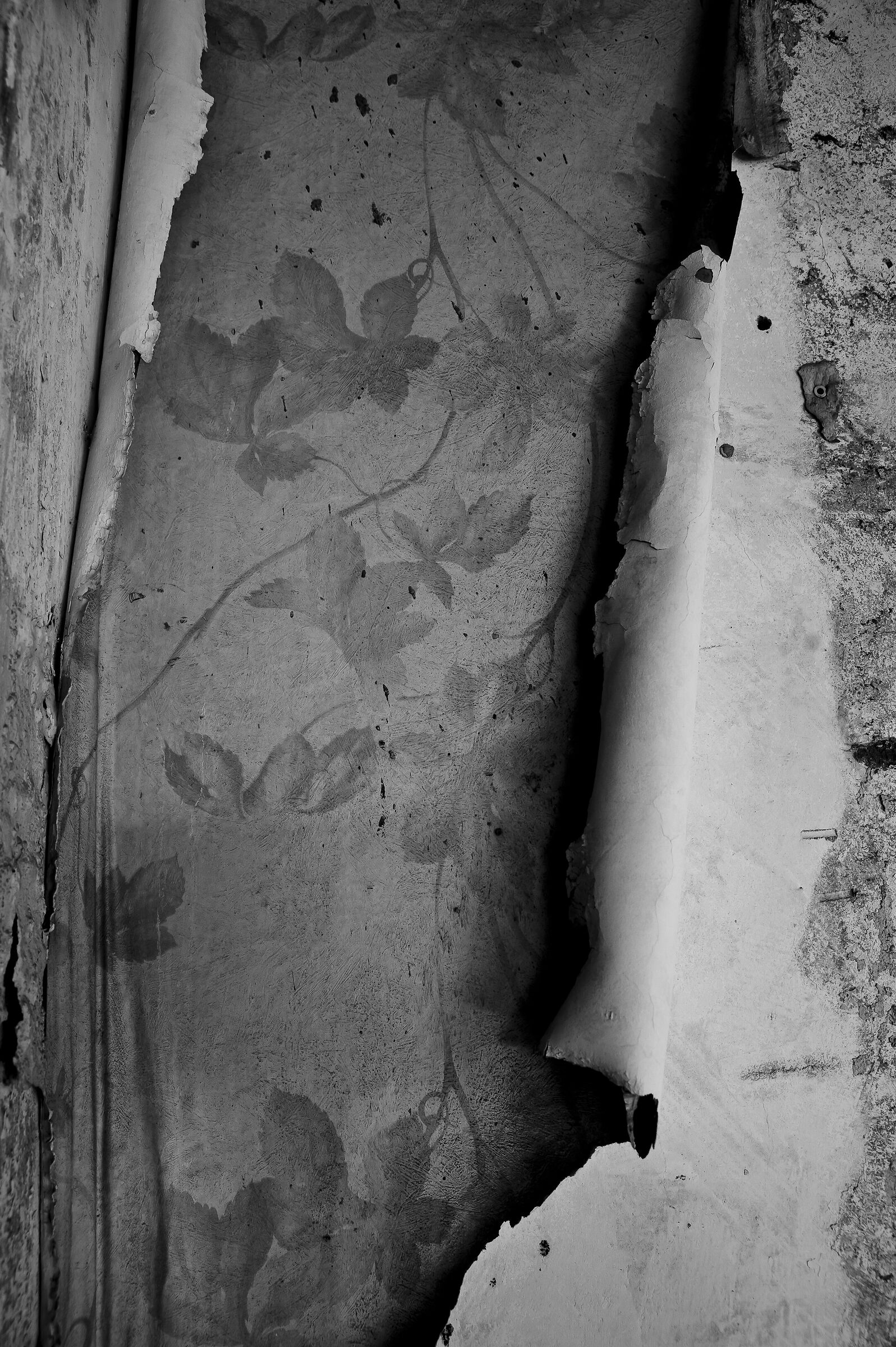 ex mercati generali roma