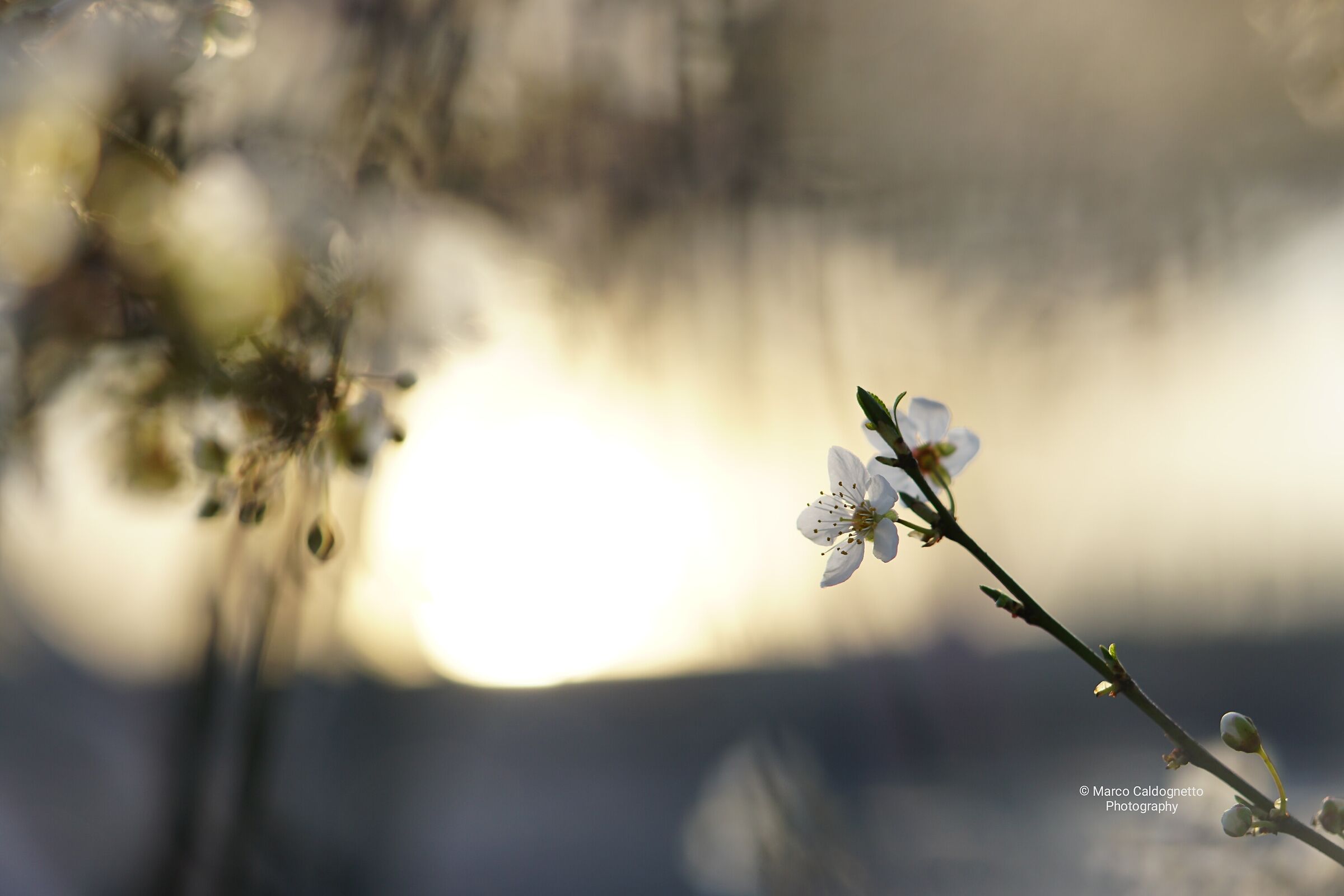 La semplicità nelle piccole cose