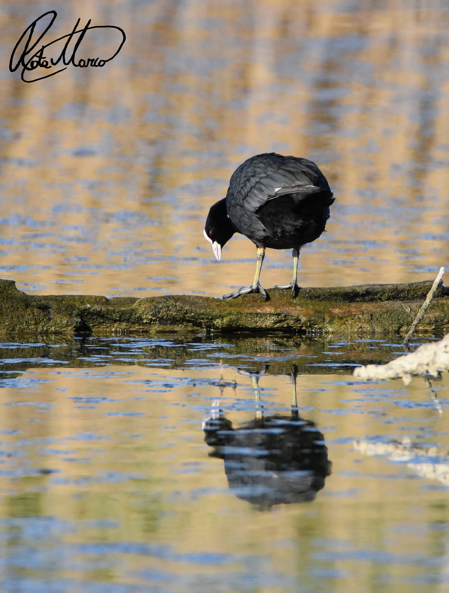 Am I beautiful this morning??