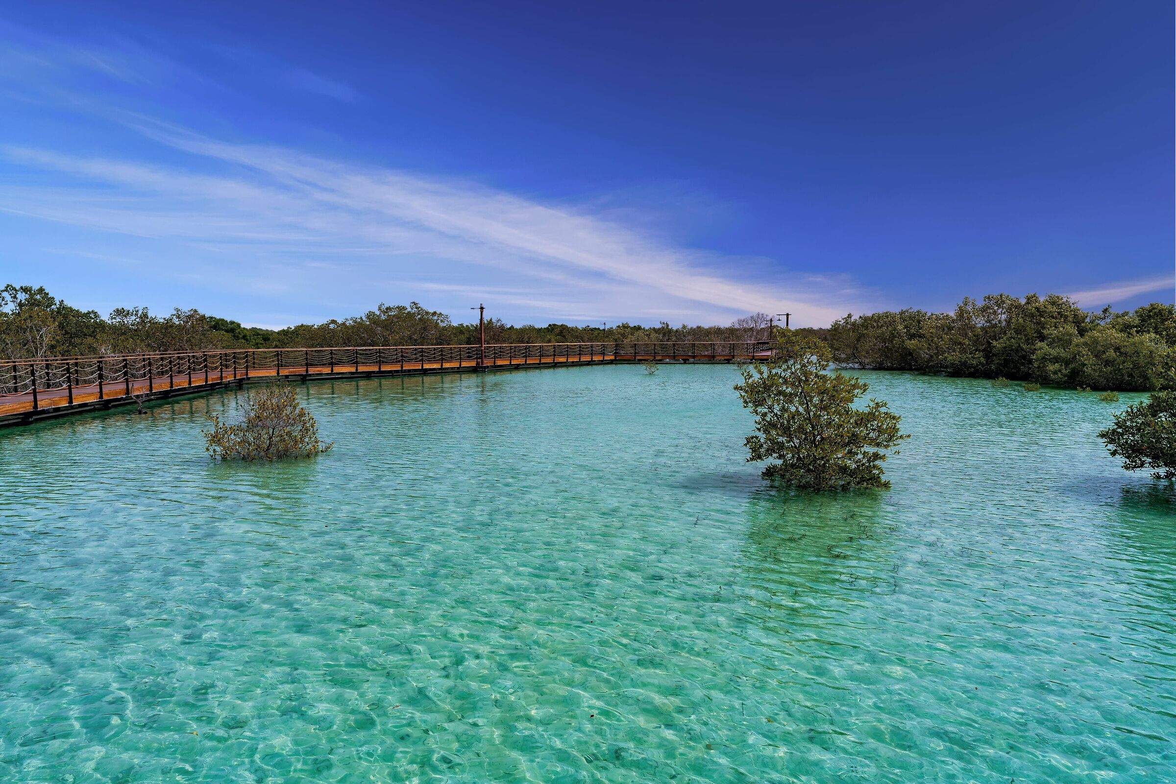 Jubail Mangrove Park Abu Dhabi