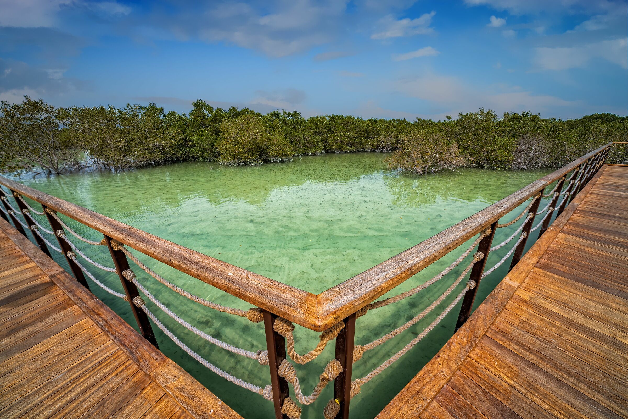 Jubail Mangrove Park Abu Dhabi