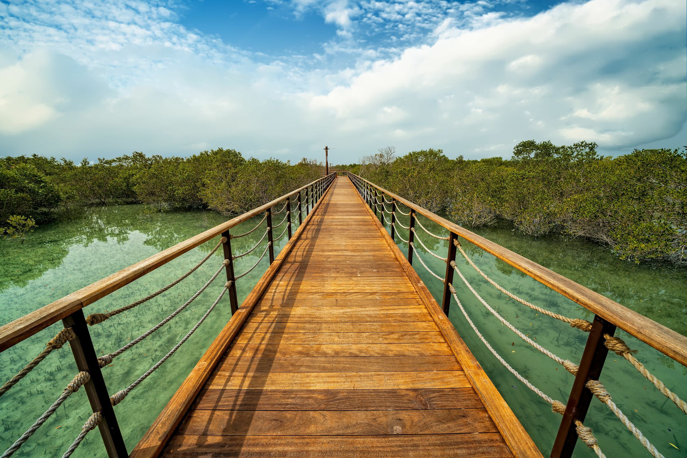 Jubail Mangrove Park Abu Dhabi