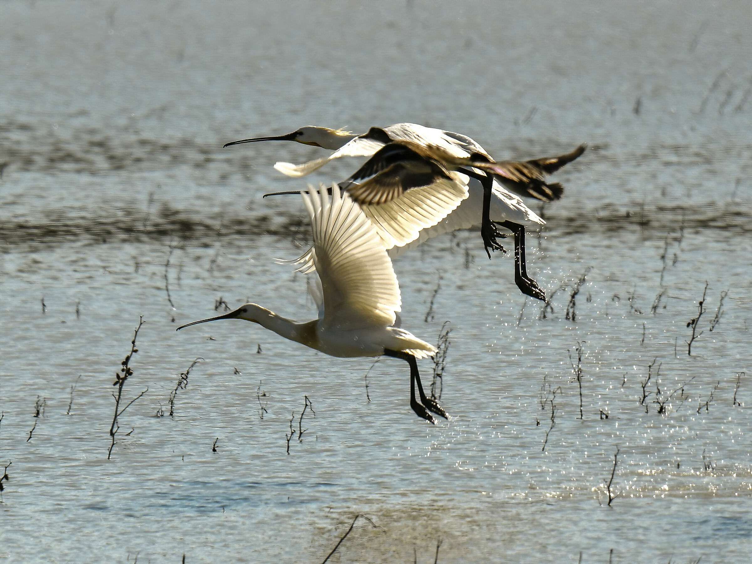 Collective departure