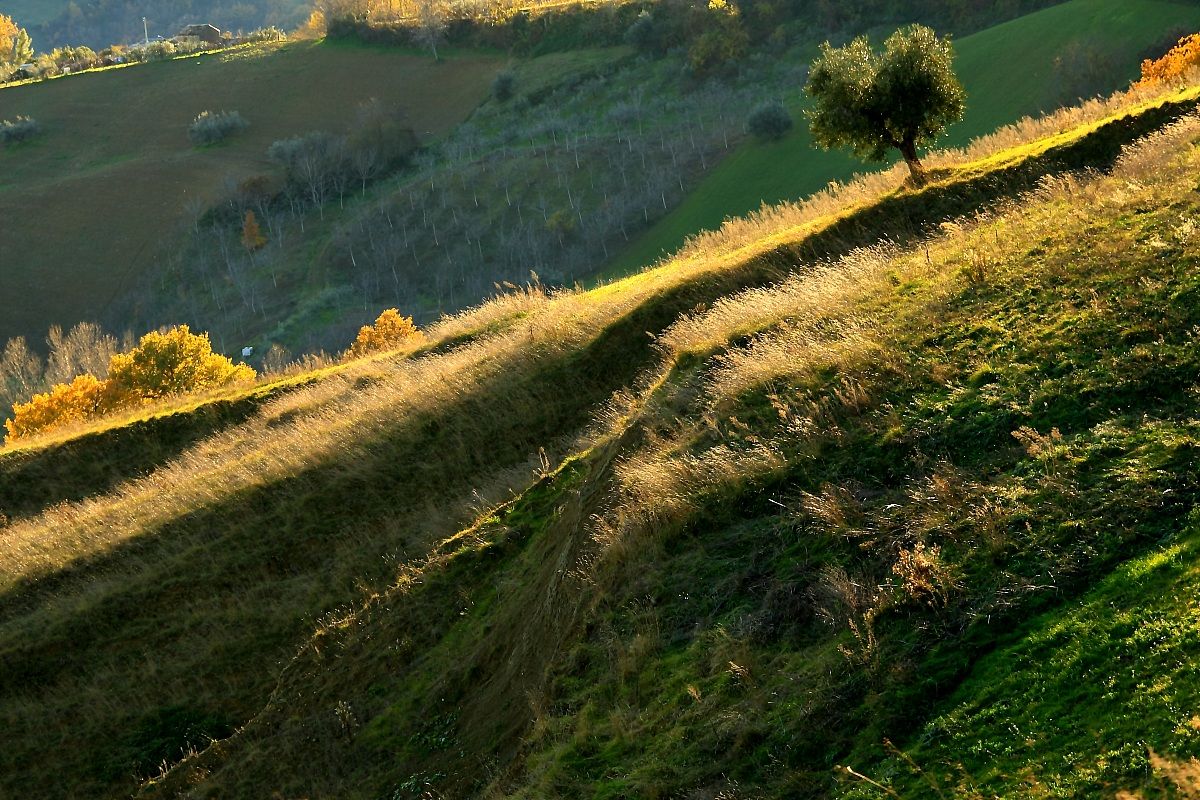 Solstizio d'inverno.