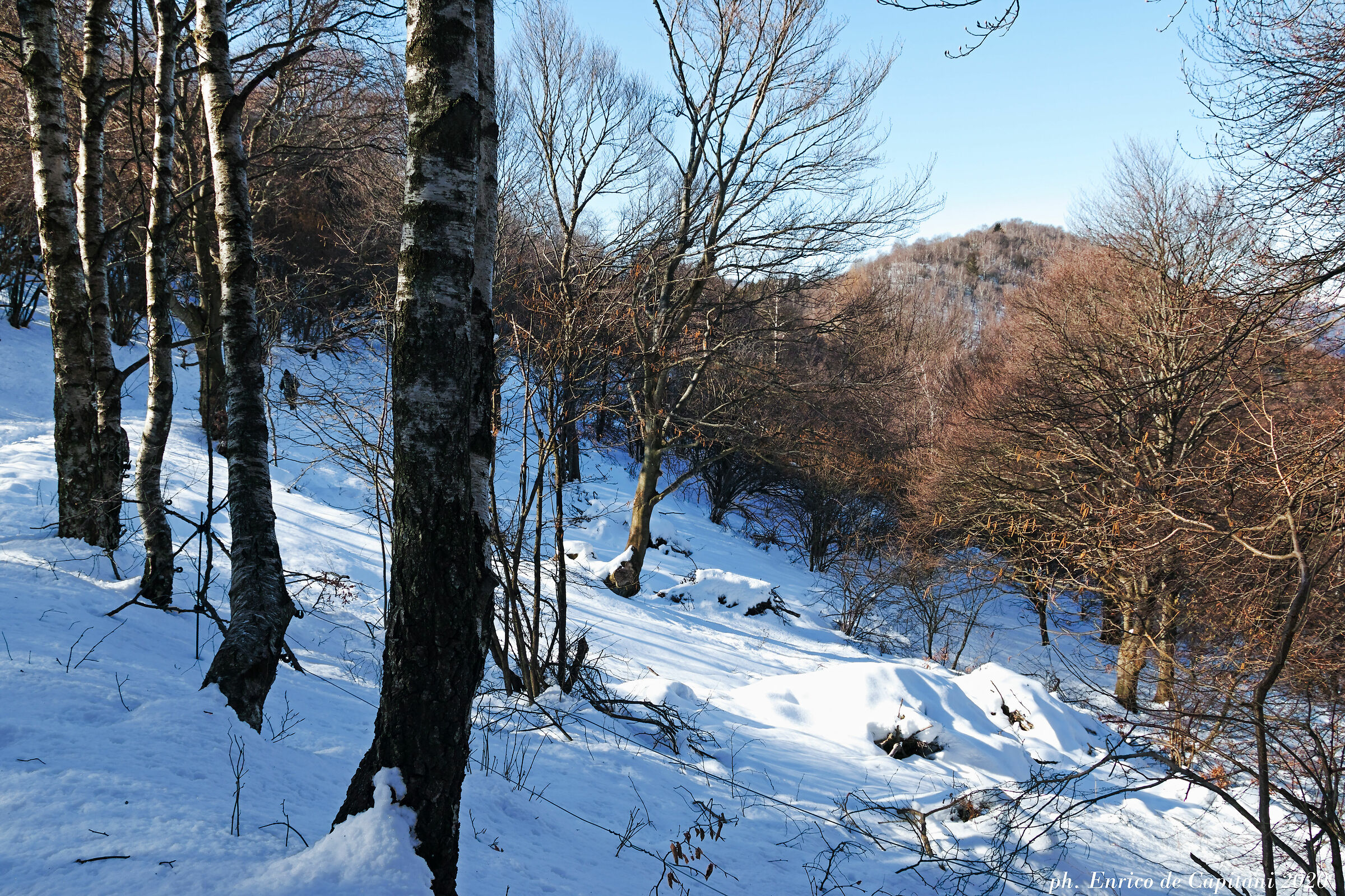 Sul sentiero del Monte San Primo