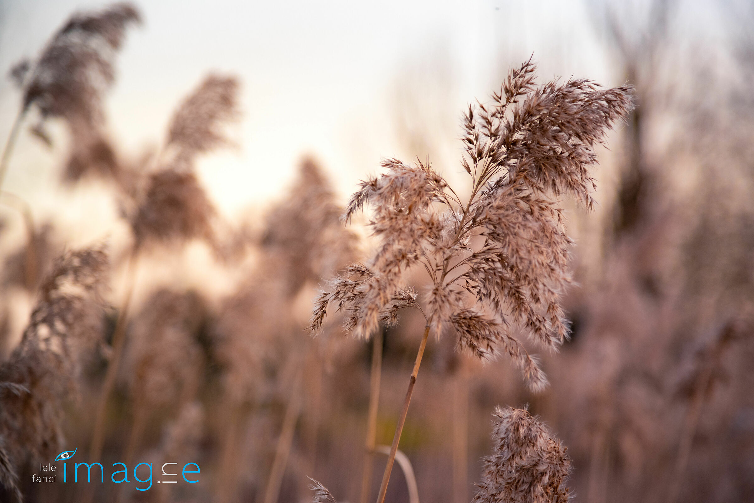 The warmth of the sunset, the stillness of the countryside.