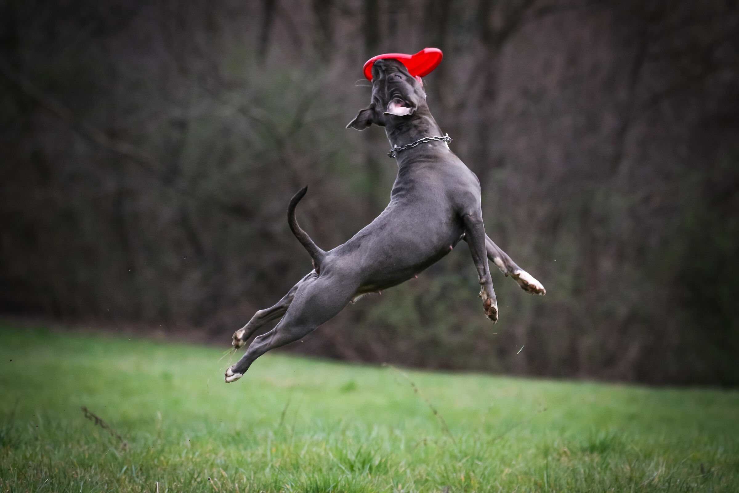 Yuma e il suo gioco preferito