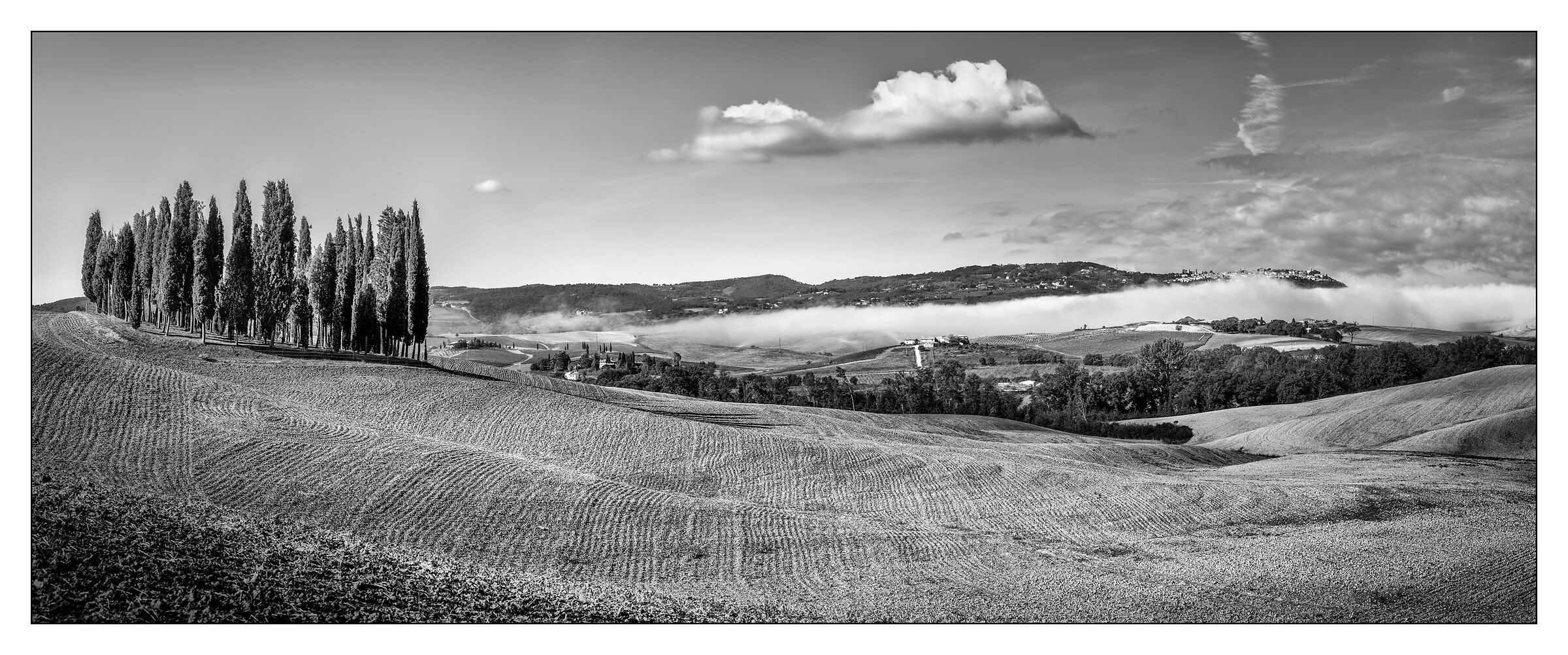 Triboli & Montalcino