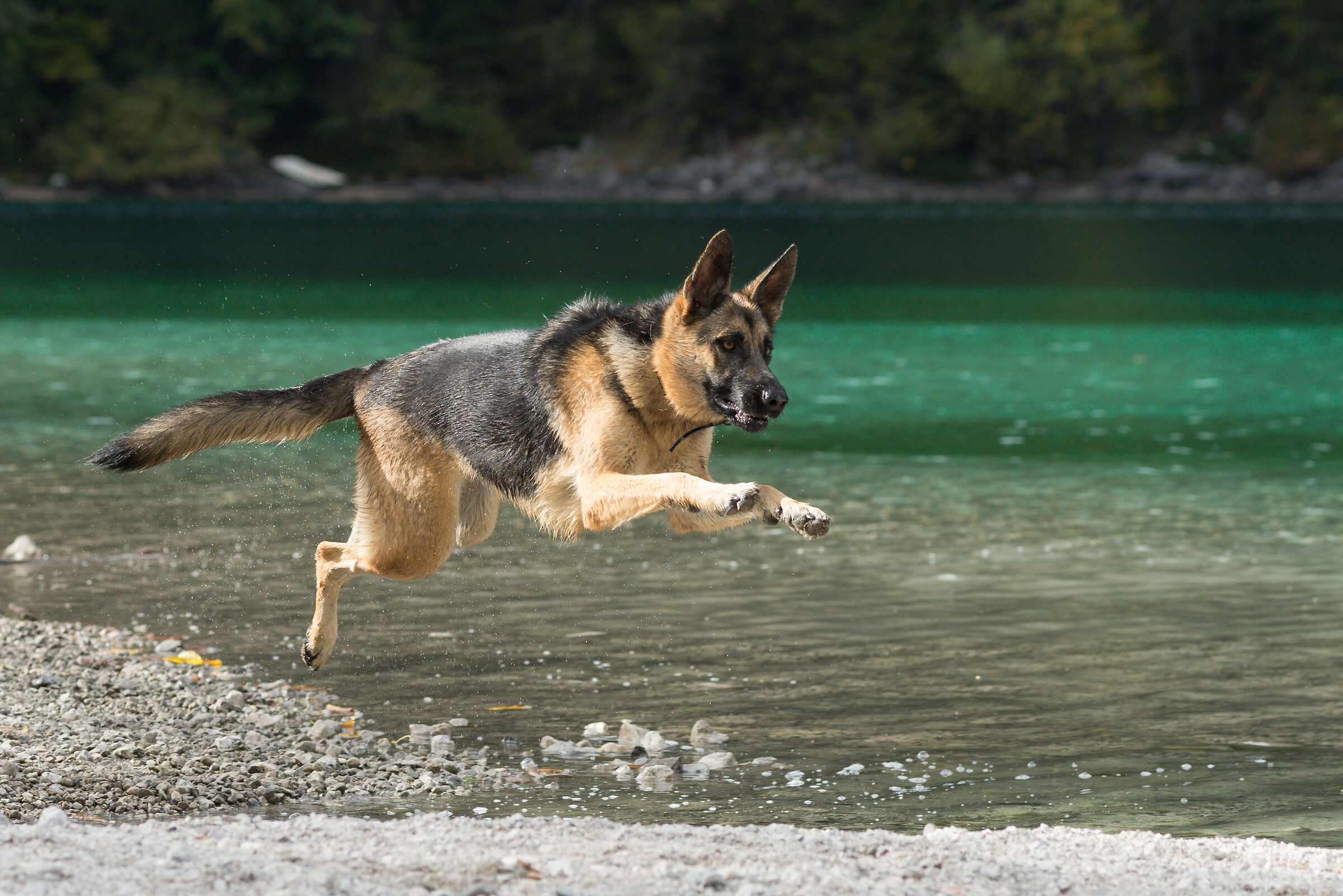 Layla volante - Tovel