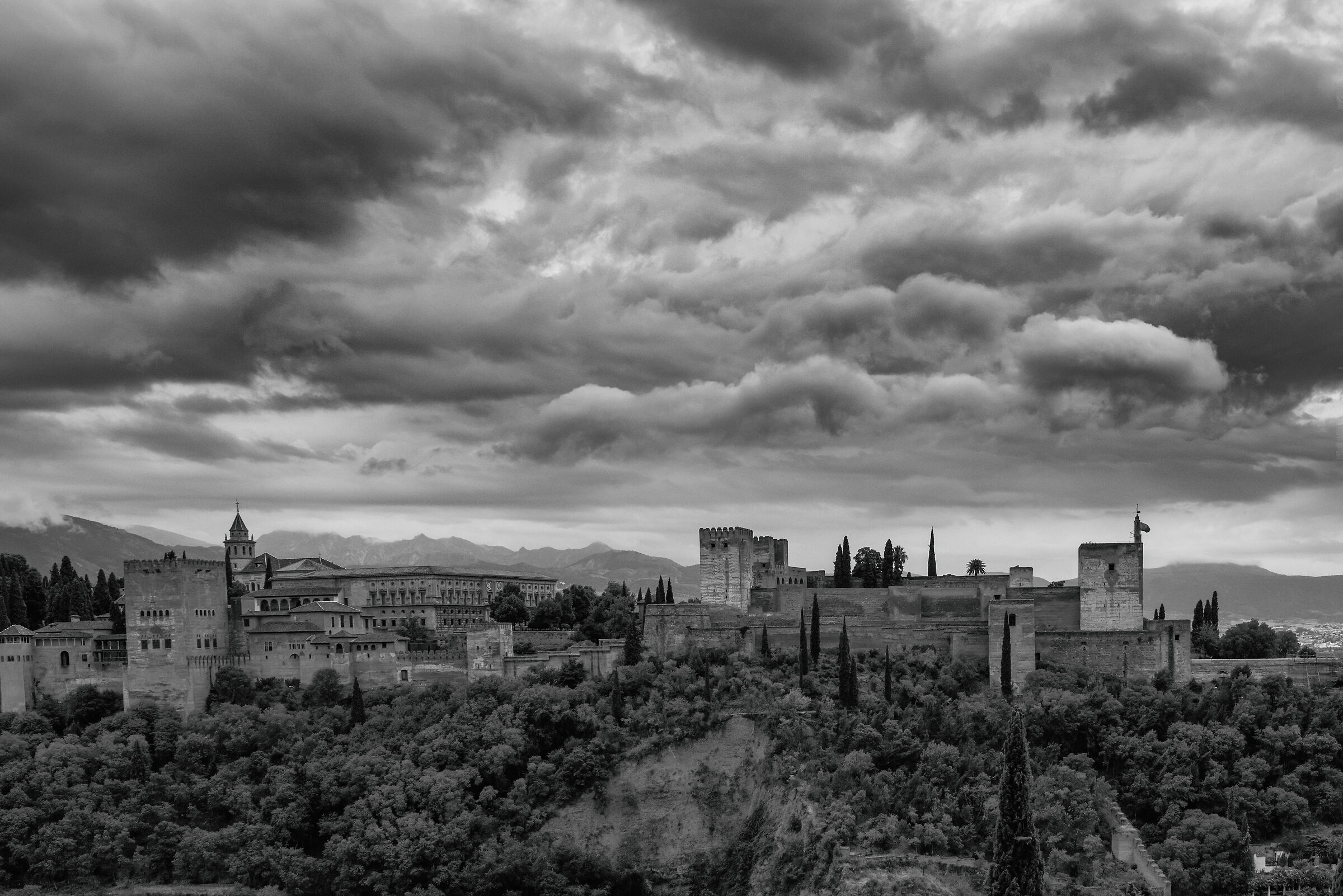 Alhambra Black and white