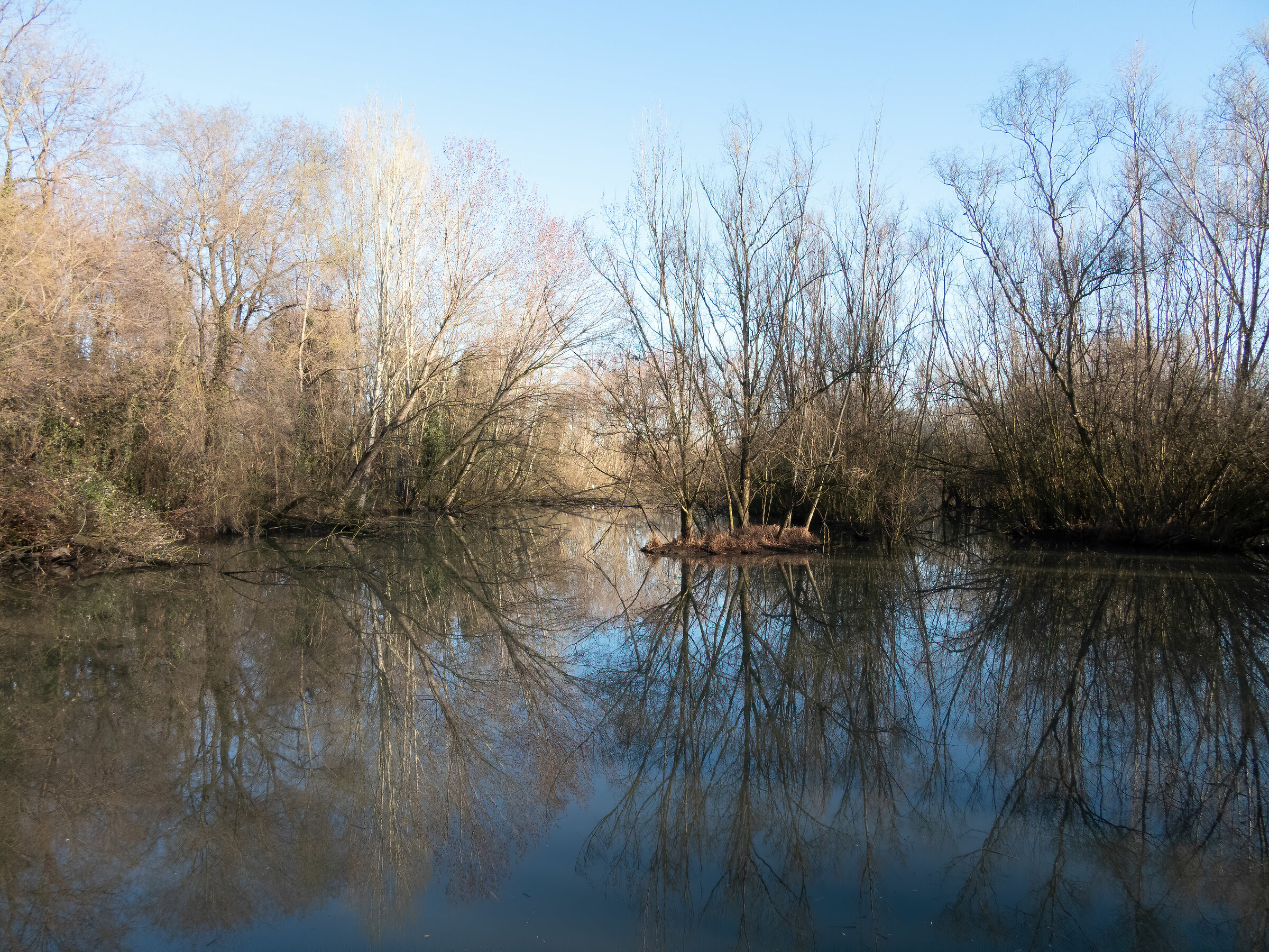 Cave Park - Wet Area