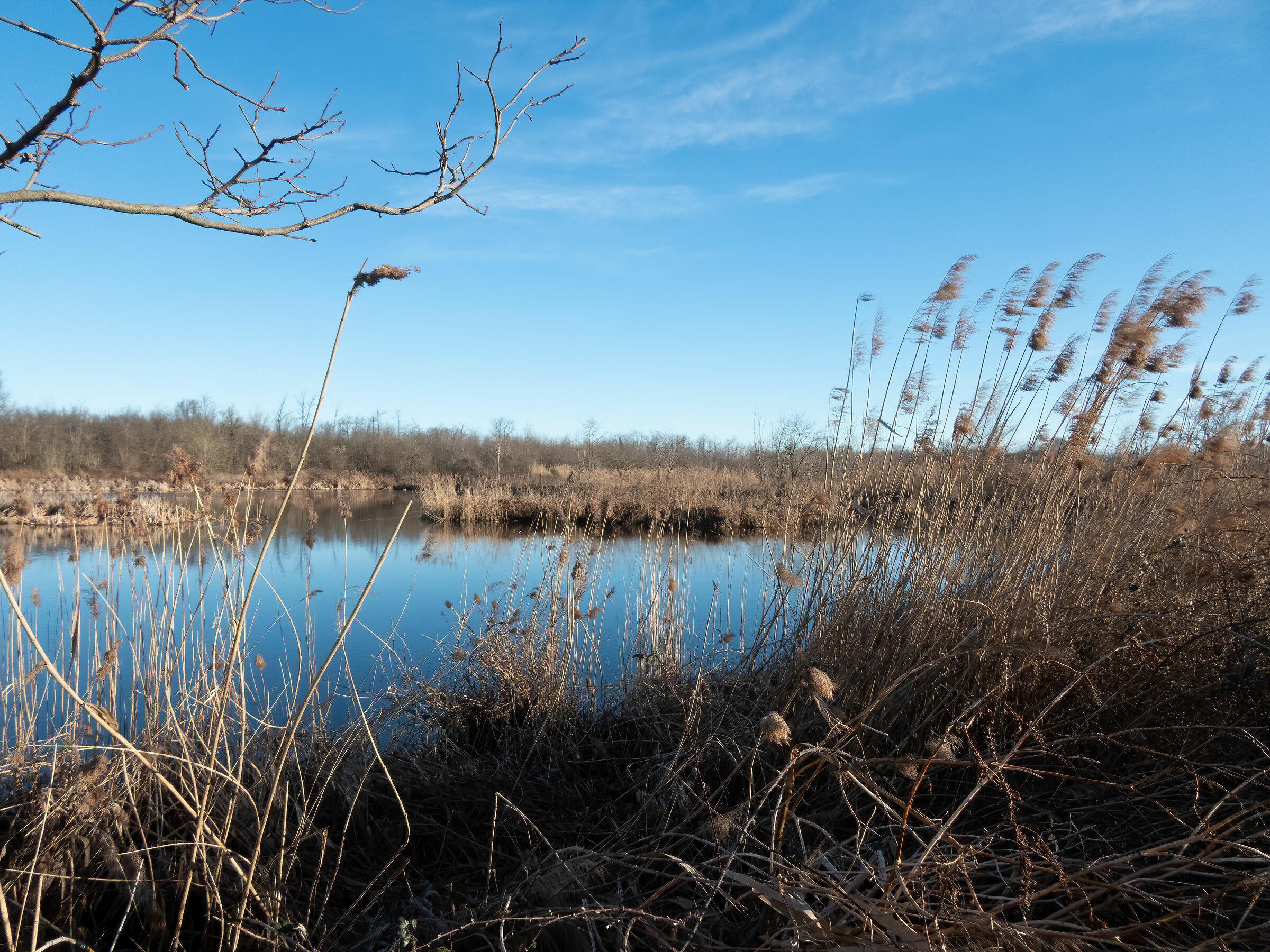 Arnetta Baths - Reed