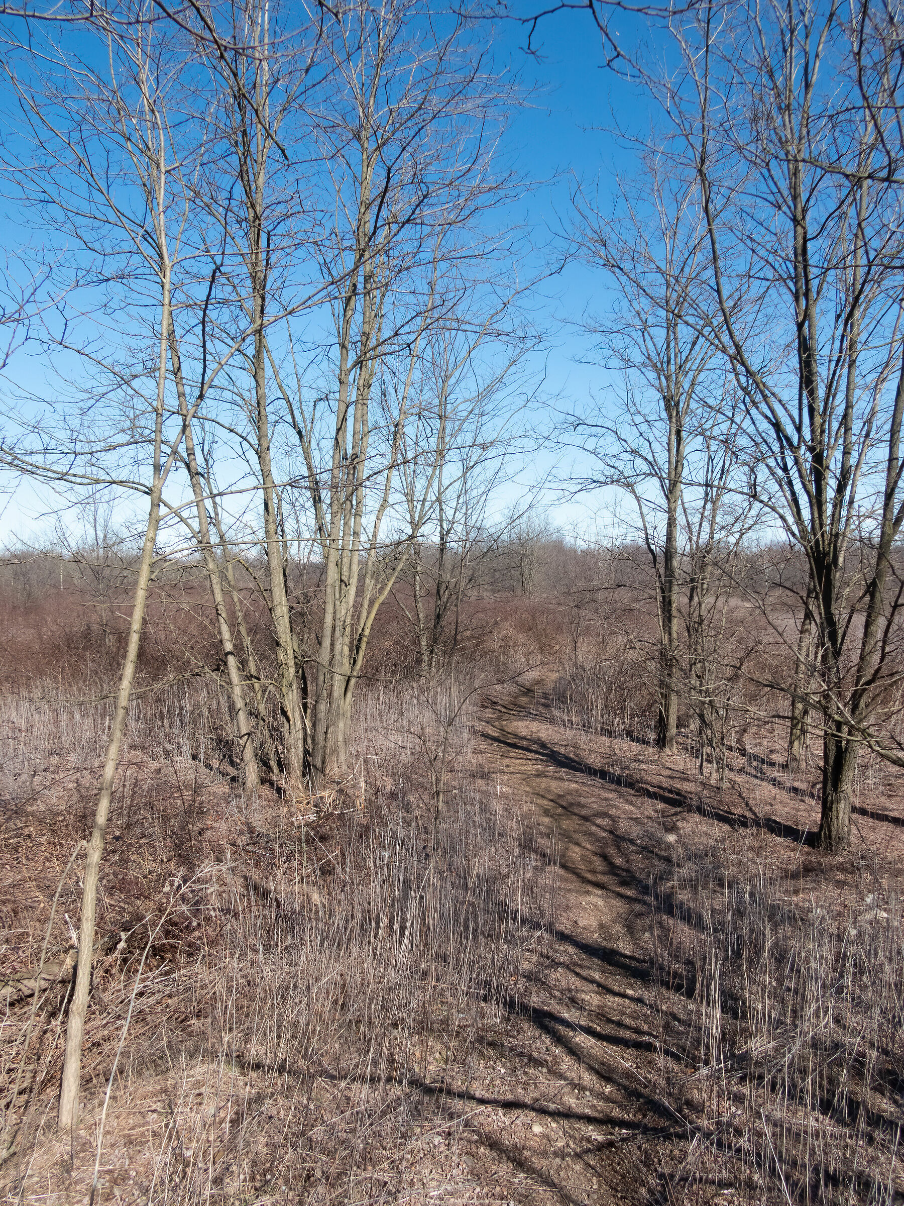 Arnetta Baths - Moorland Road