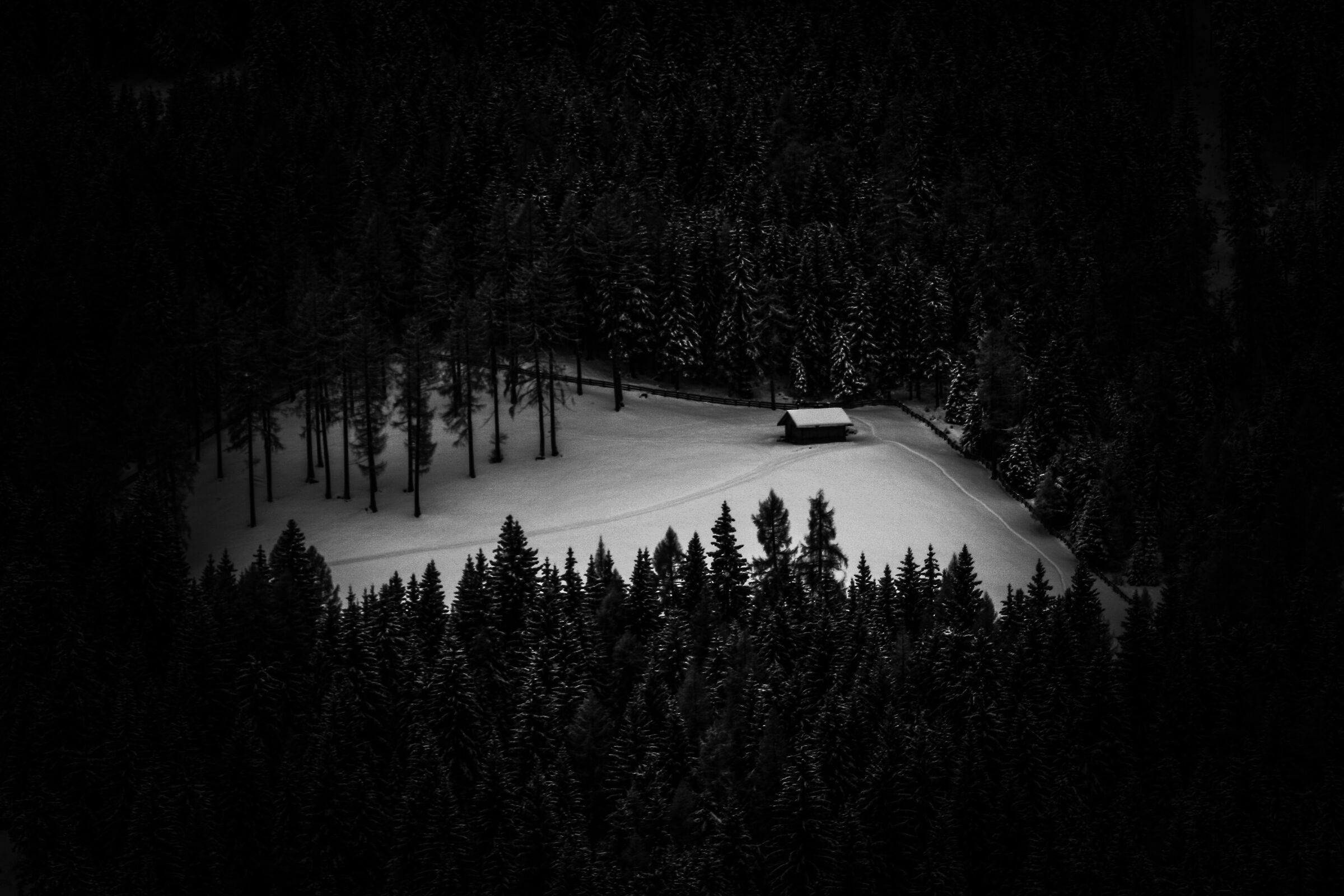 "The cottage in the woods"